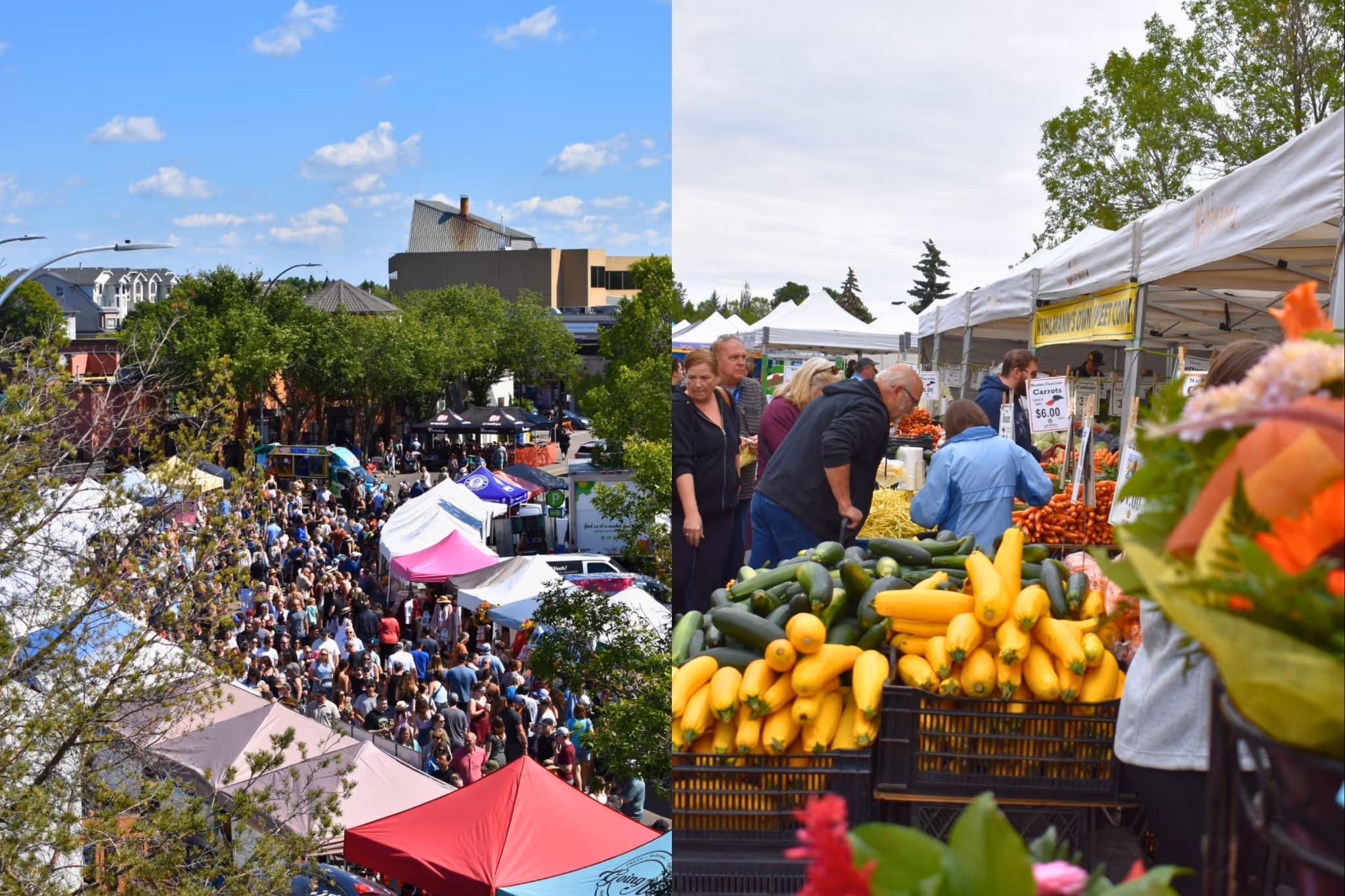 加拿大最大的户外农夫市集位于埃德蒙顿附近