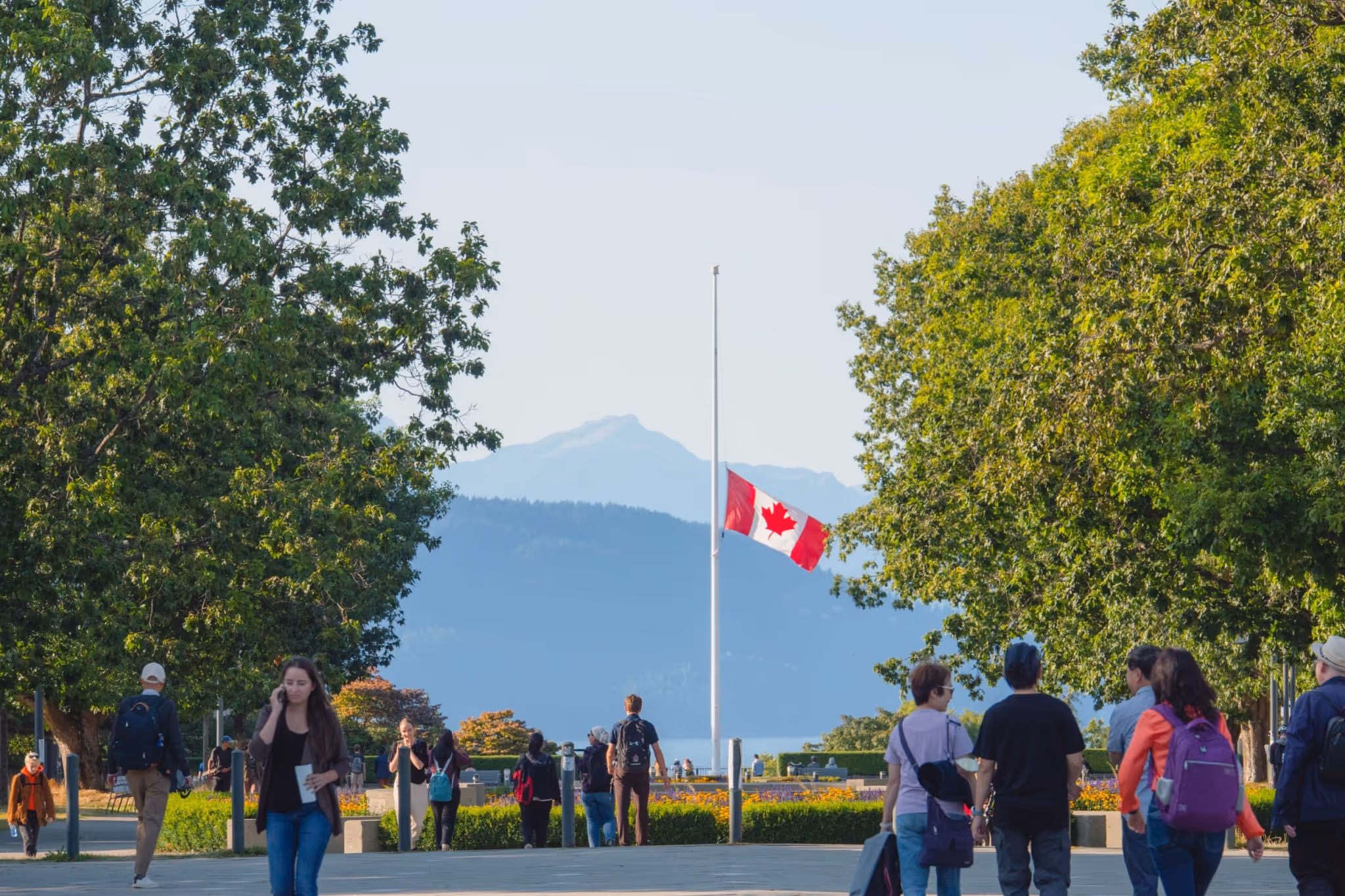 加拿大国际学生入学人数两年内下降75%