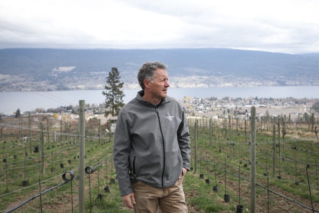 不列颠哥伦比亚省独立酿酒厂因进口葡萄面临高税费