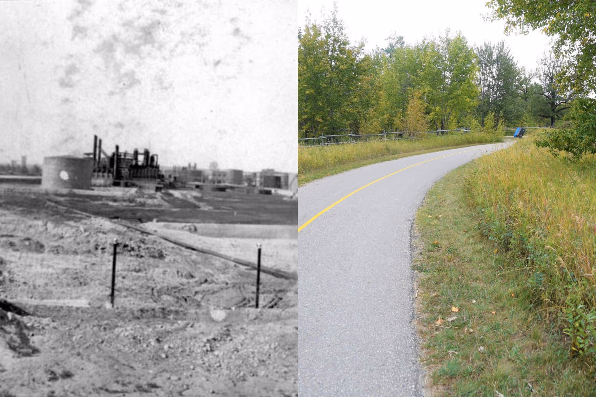 卡尔加里公园的历史：一个社区的消失