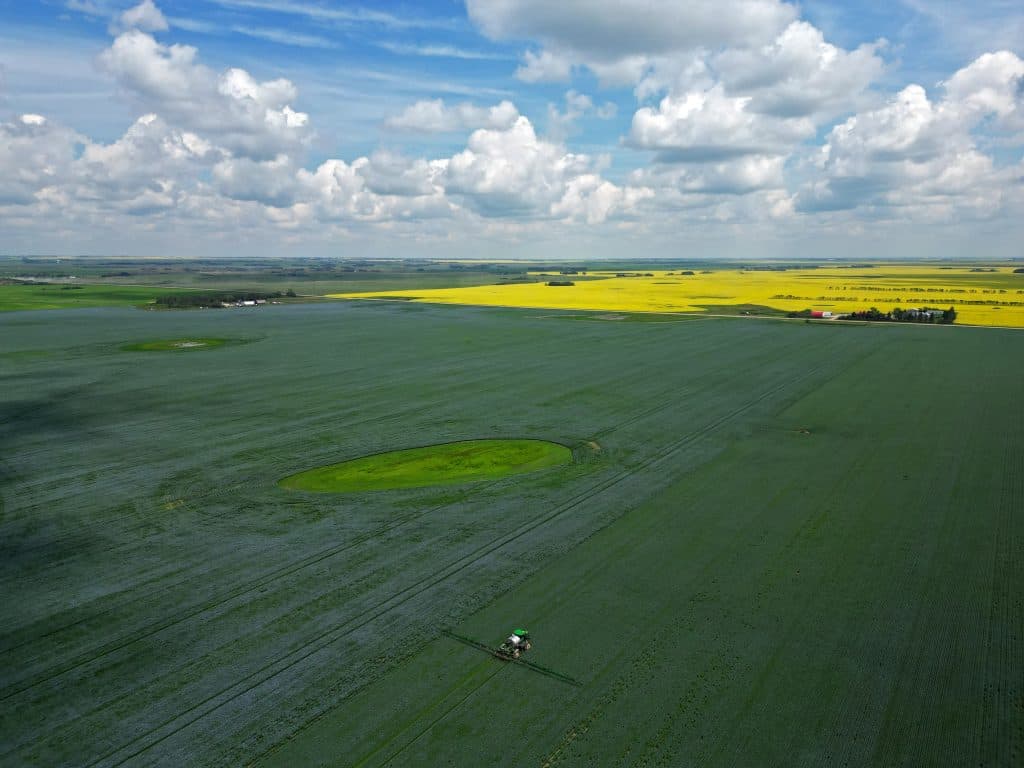 As the climate changes on the Prairies, some farmers are reaping rewards