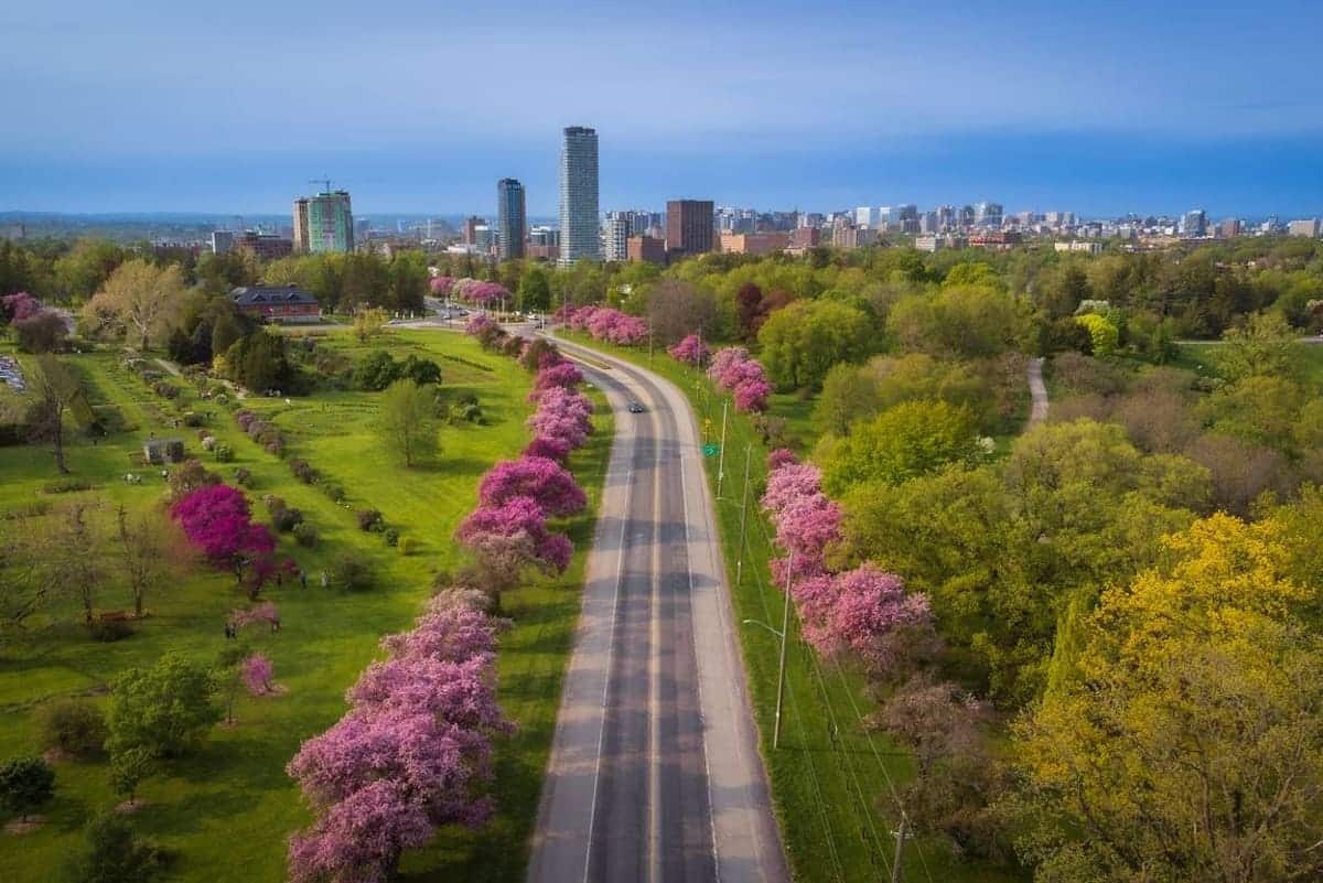 安大略省向外国工人和国际学生发出2000多份邀请