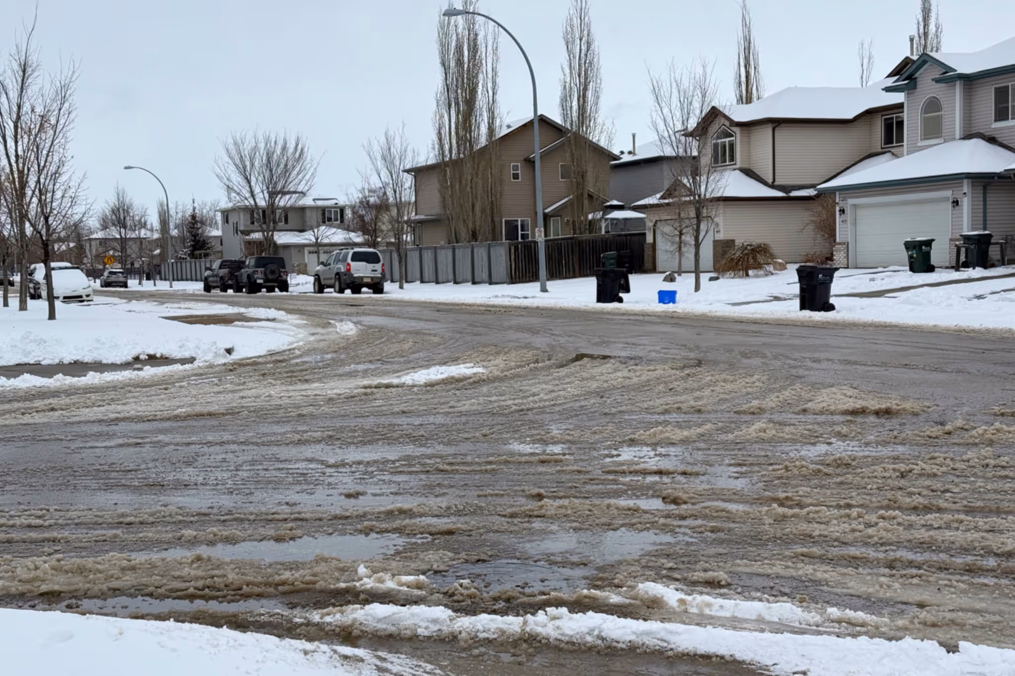艾德蒙顿迎来恶劣春雪