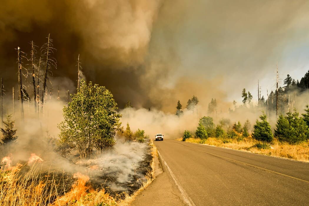 NorthX invests $2.2 million in trio of BC wildfire tech startups