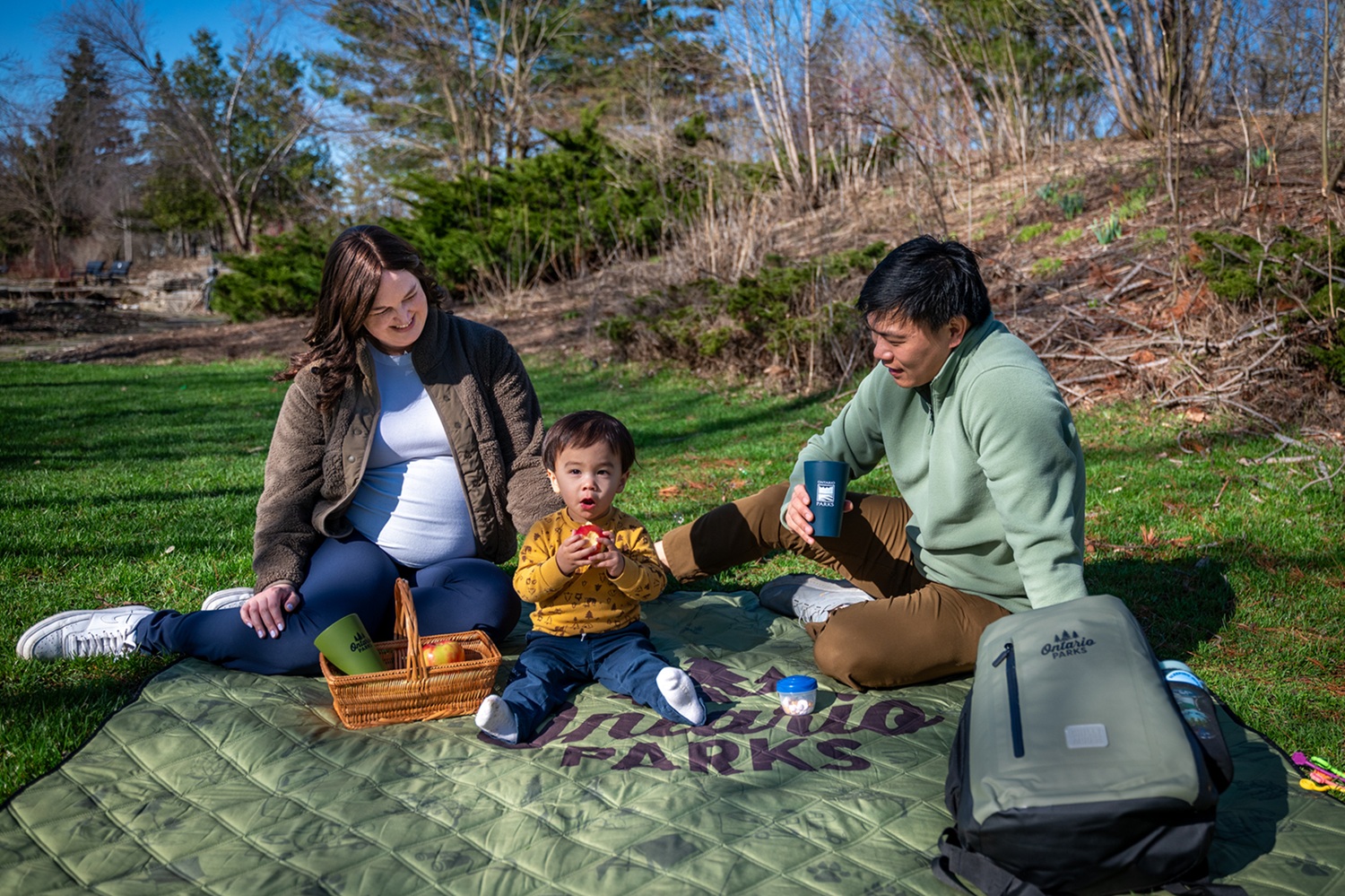 5 perfect picnic destinations for spring