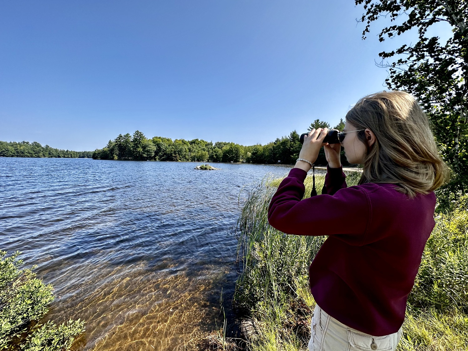 Birding with benefits: therapeutic benefits of bird watching