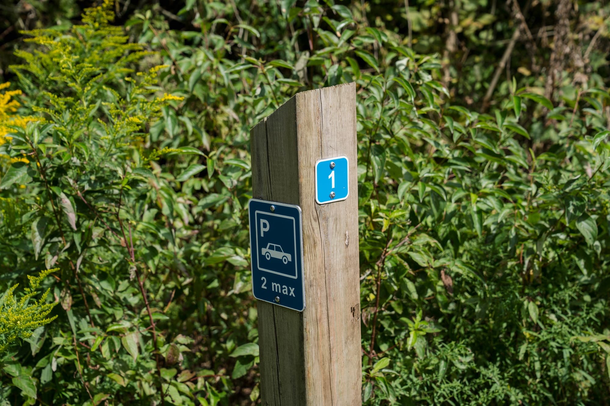 More campsites at your favourite parks? You’ve got it!
