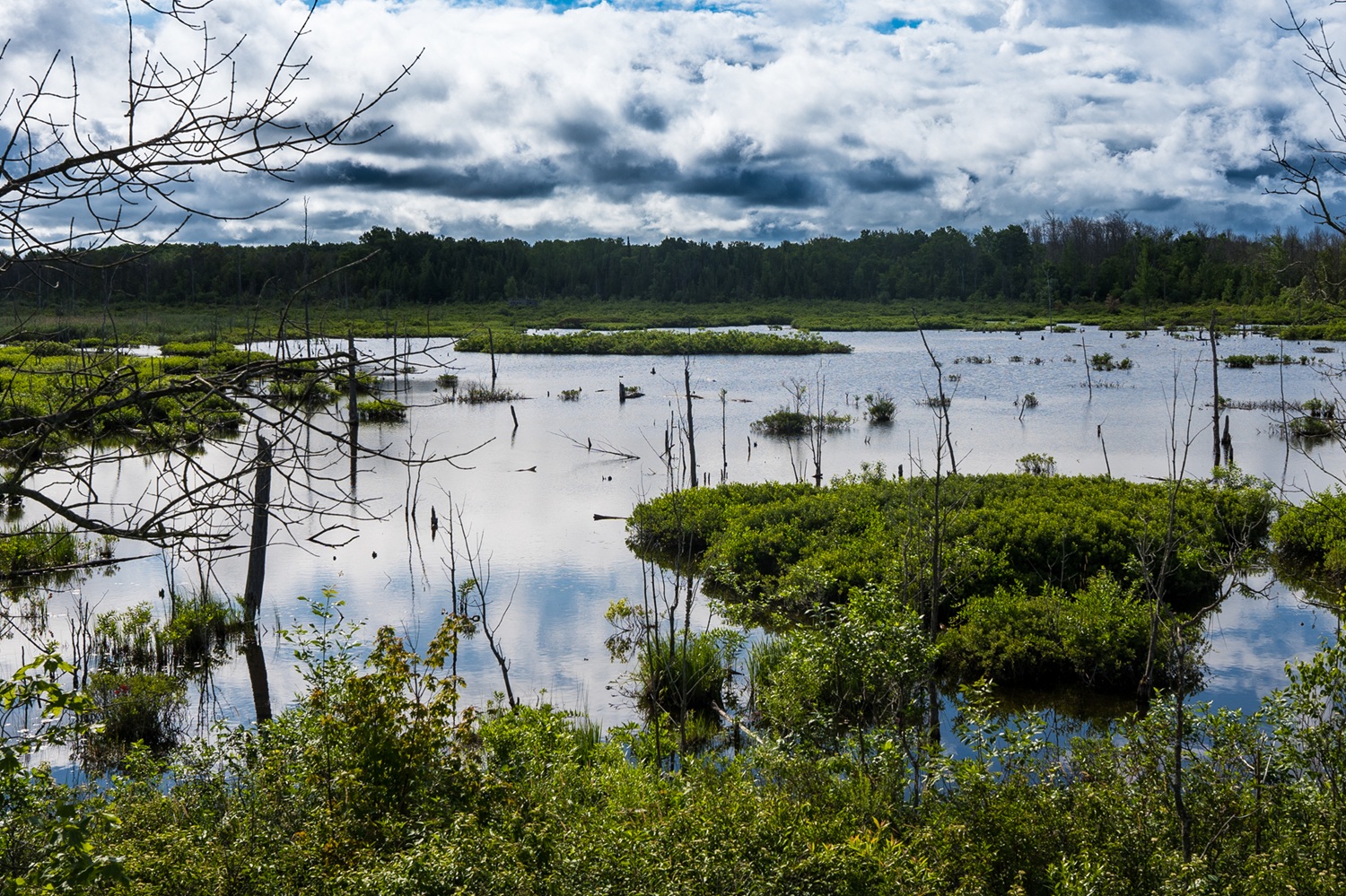 Track environmental changes at MacGregor Point