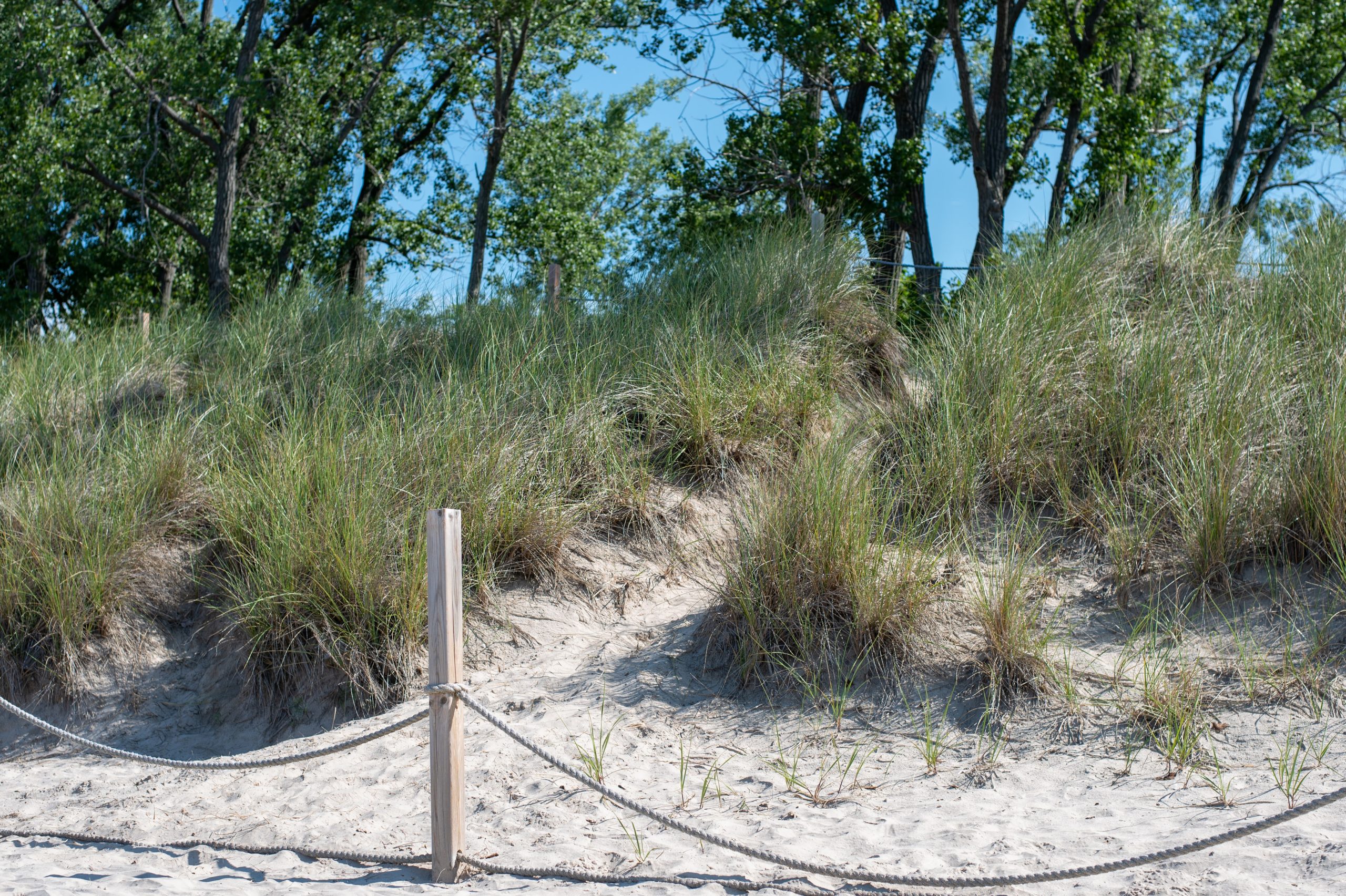 Why social trails are damaging to provincial parks