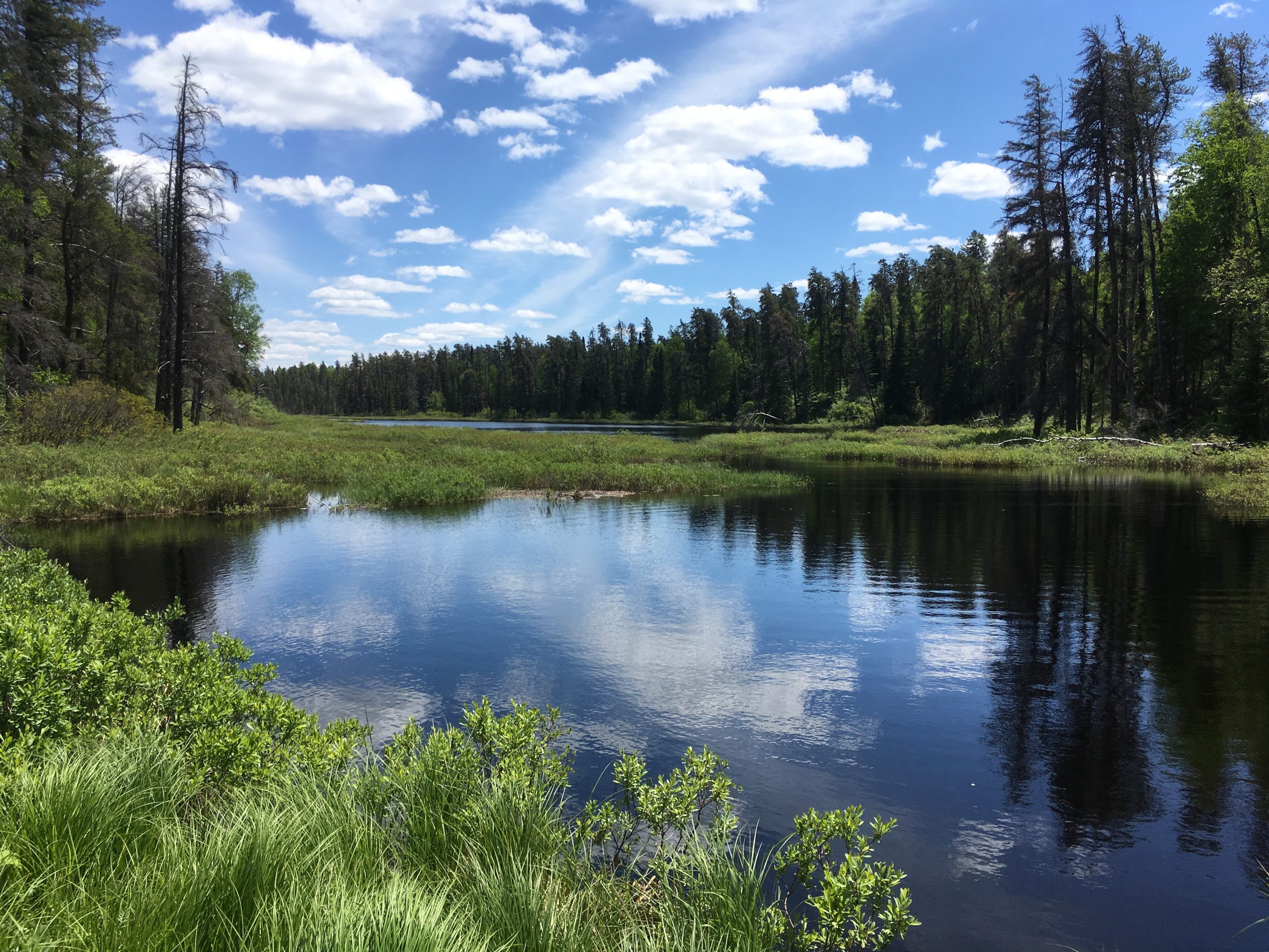 5 reasons to visit Esker Lakes Provincial Park
