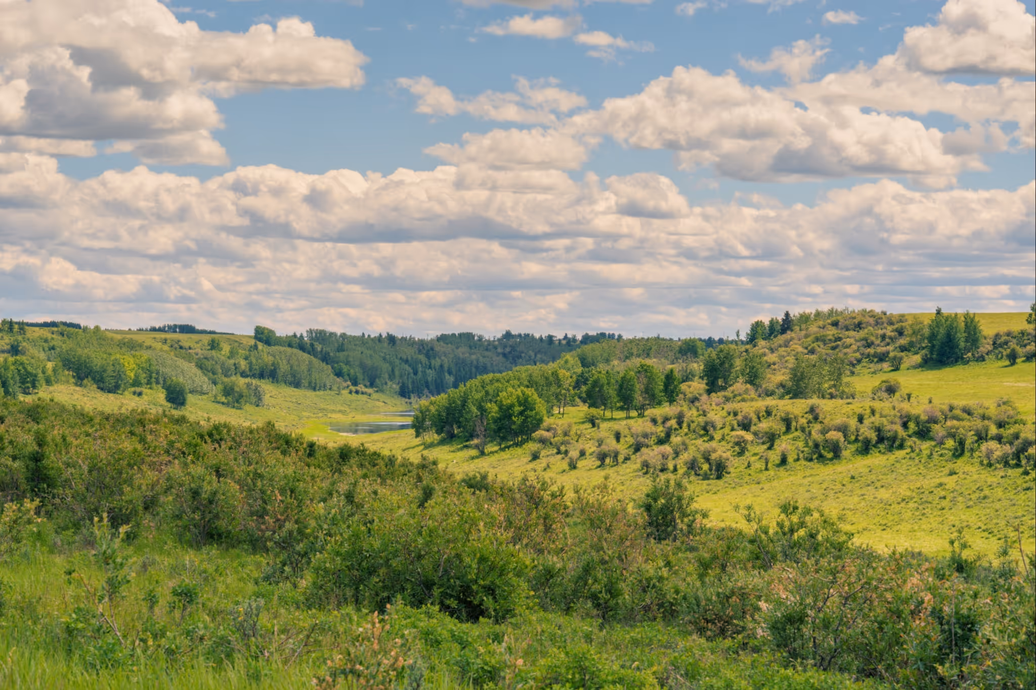 The July forecast for Alberta is out and we're finally getting spoiled