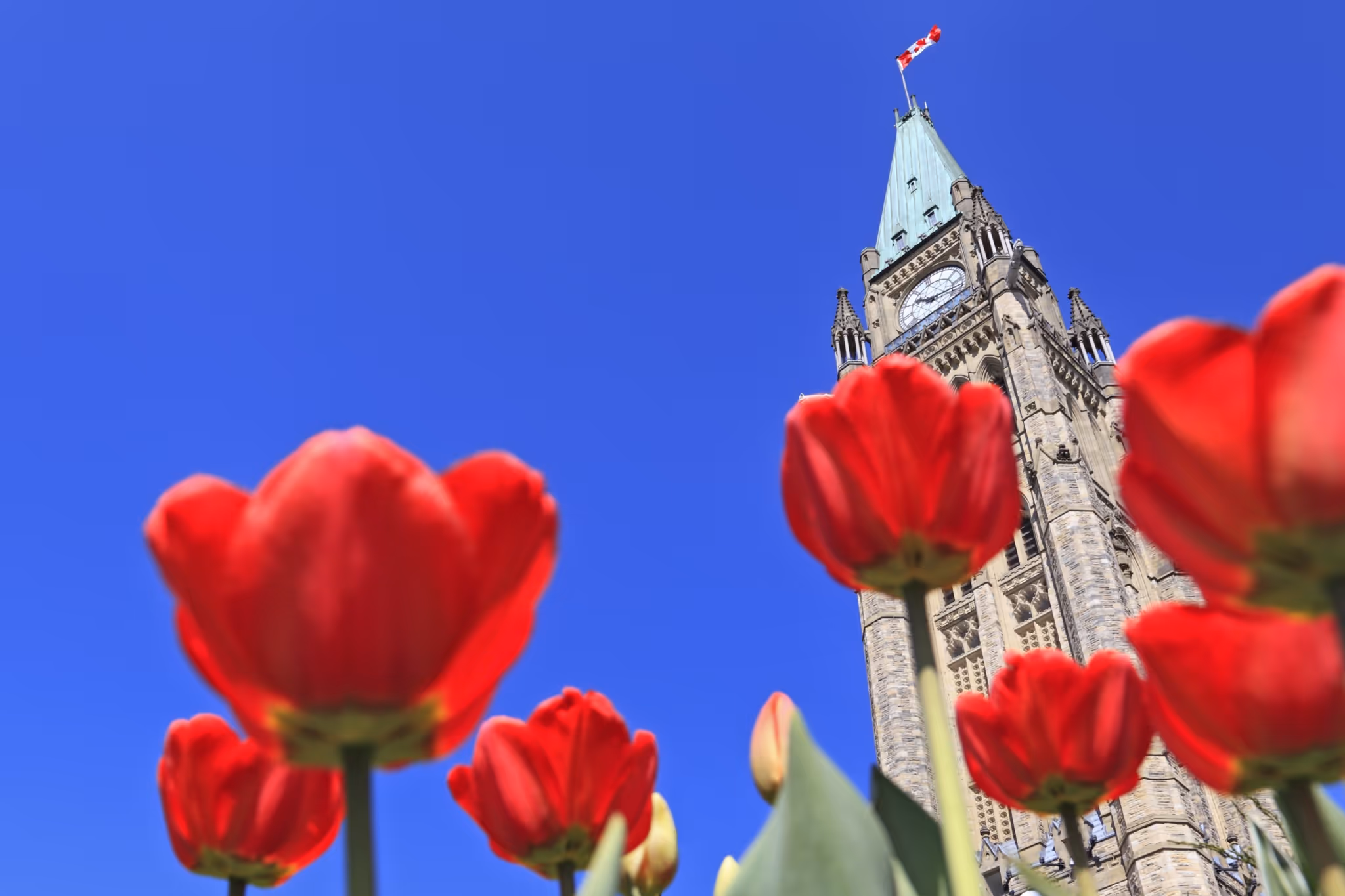 Canada has new laws and measures taking effect in May