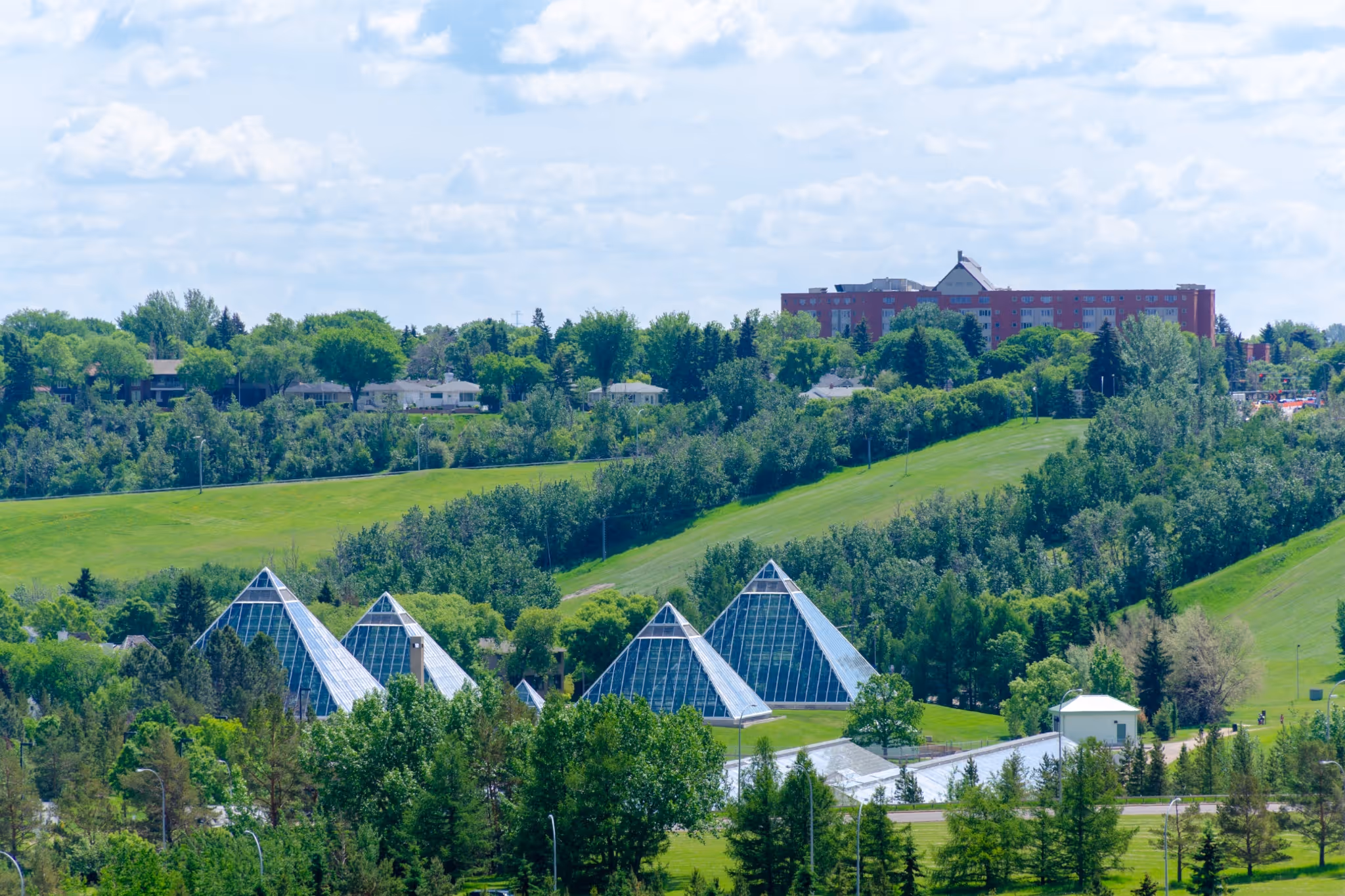 18 awesome things to do in Edmonton this weekend: May 22 to 24