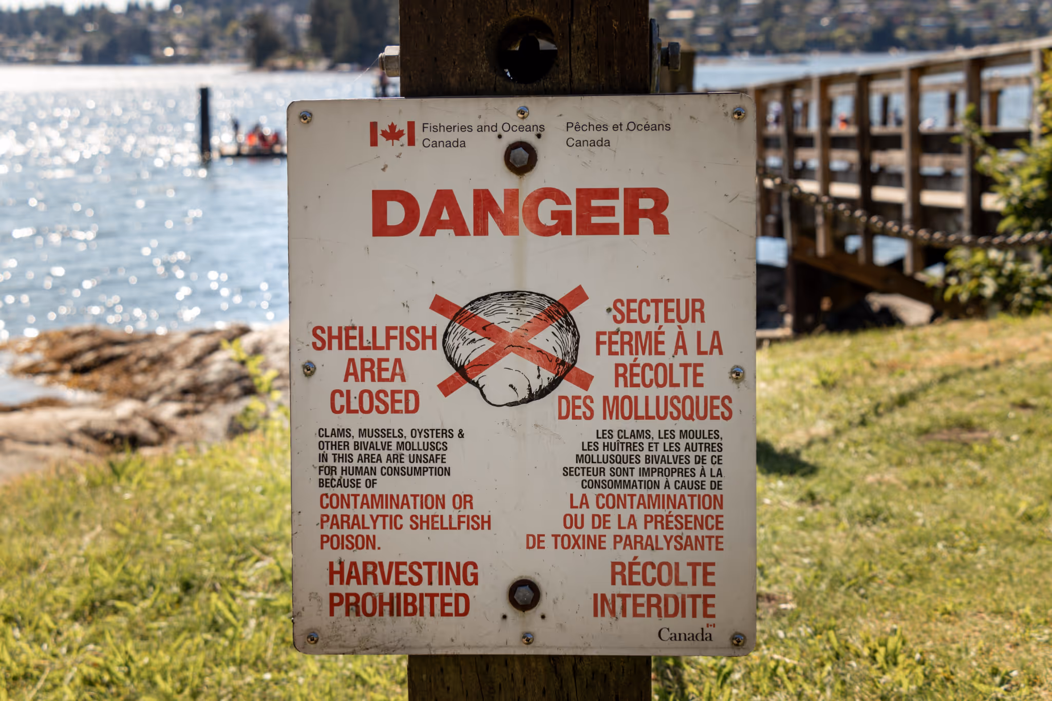 Alert issued for potentially fatal contamination in B.C. shellfish