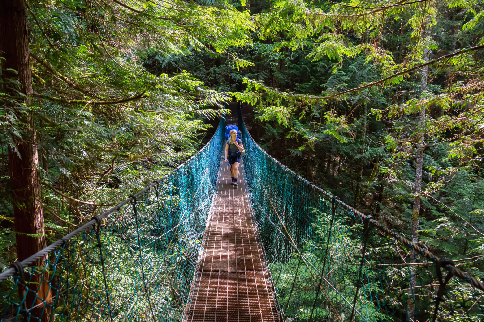 Popular 47 km coastal B.C. hike reopens this summer after storm damage closure