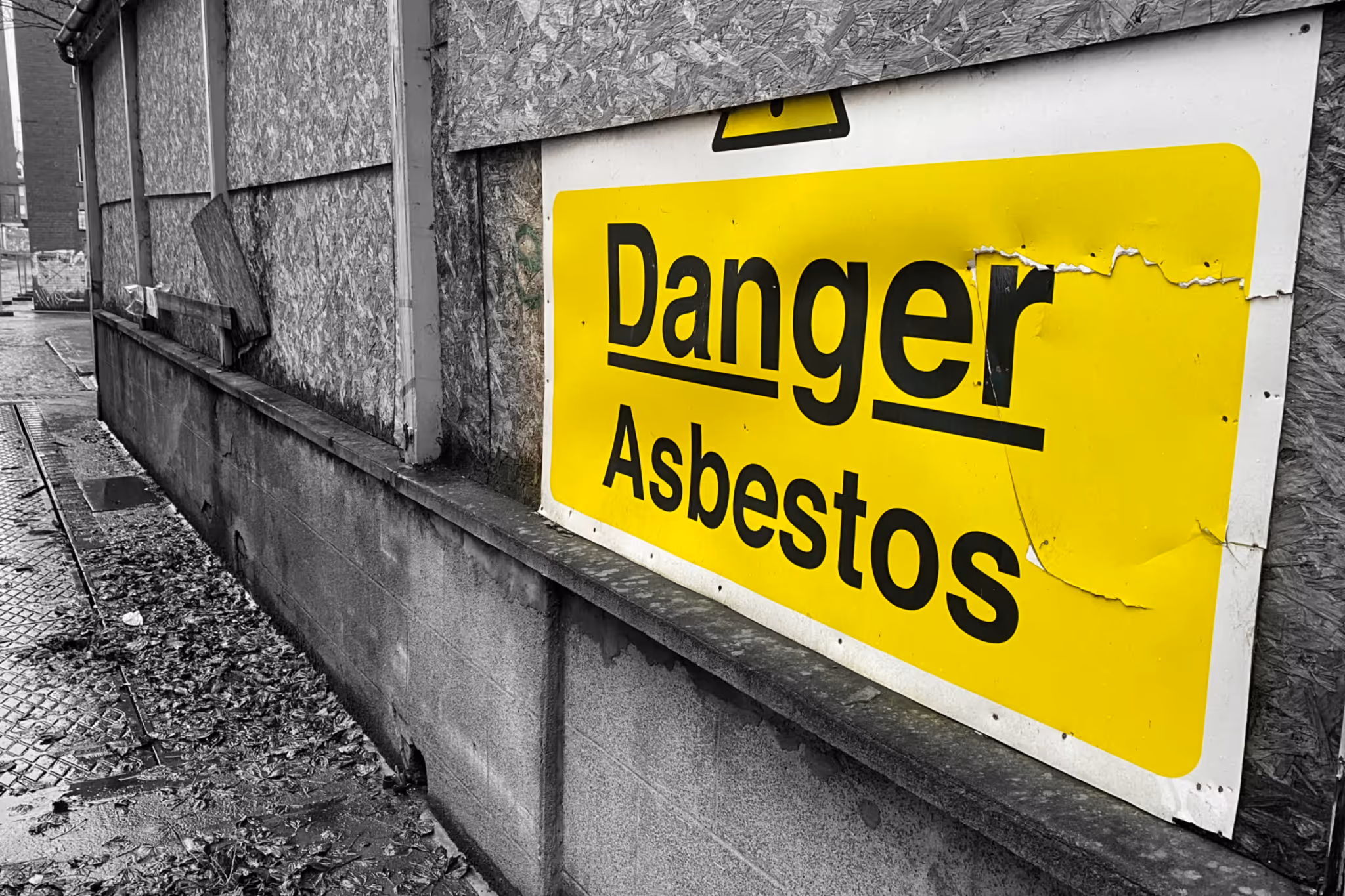 Significant number of B.C. workers died from asbestos last year