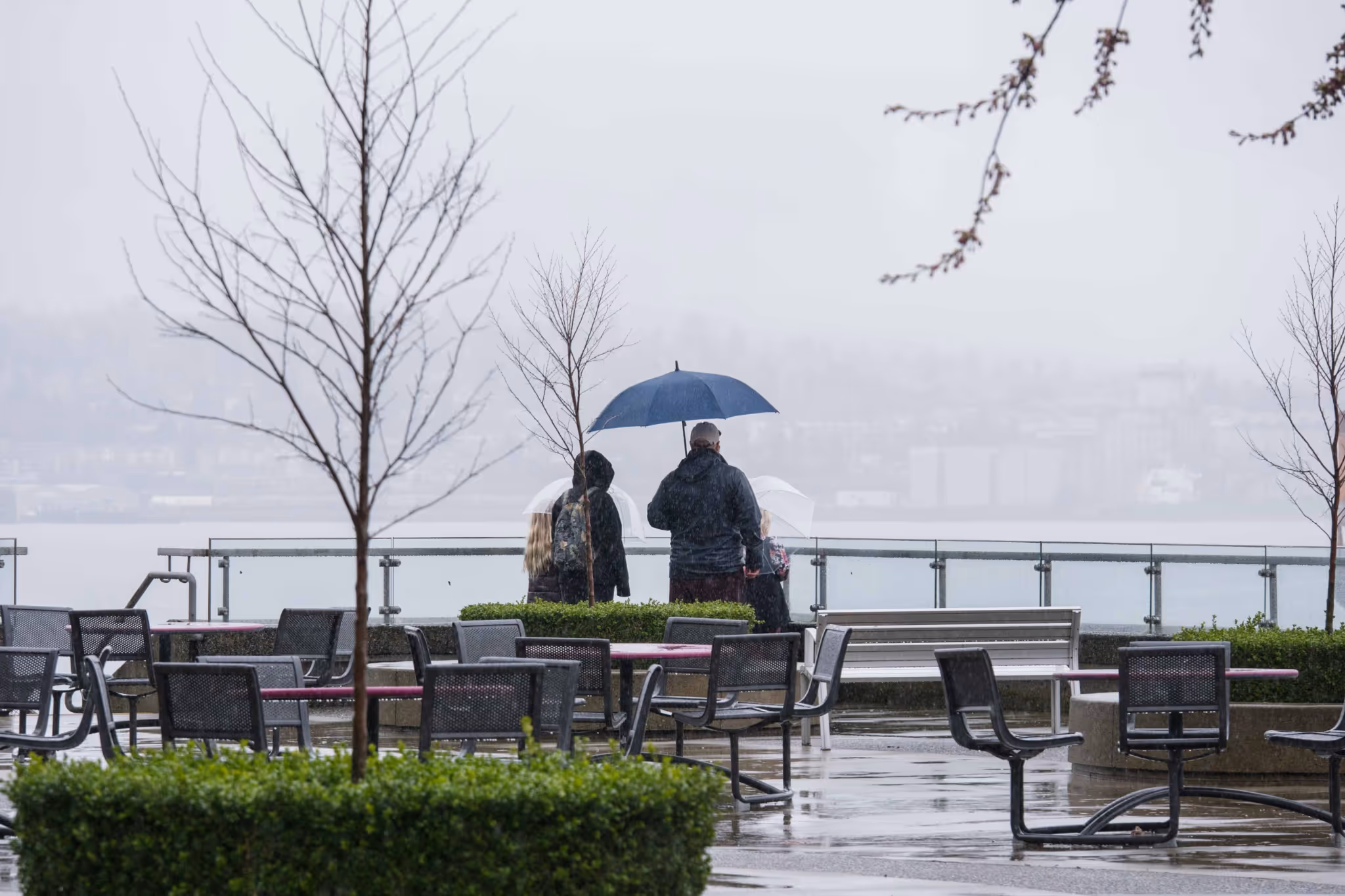Vancouver long weekend forecast might have you cancelling beach plans