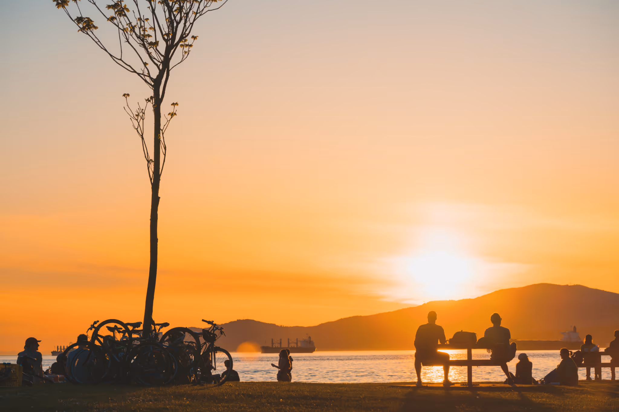 Vancouver councillor brings cool motion forward ahead of potentially record-breaking summer