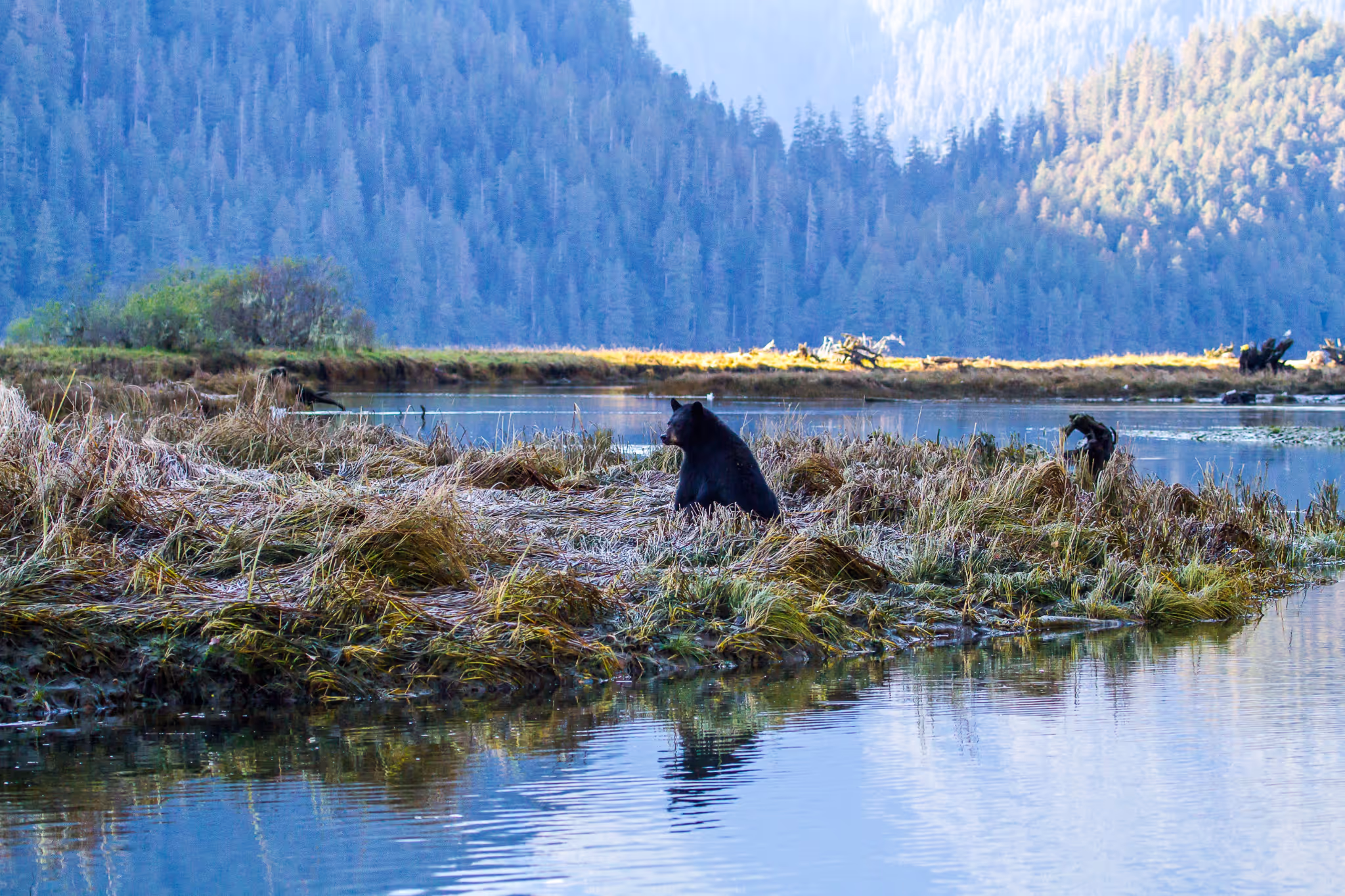 'Larger than Belgium': Wild B.C. area named among seven world wonders to visit this year