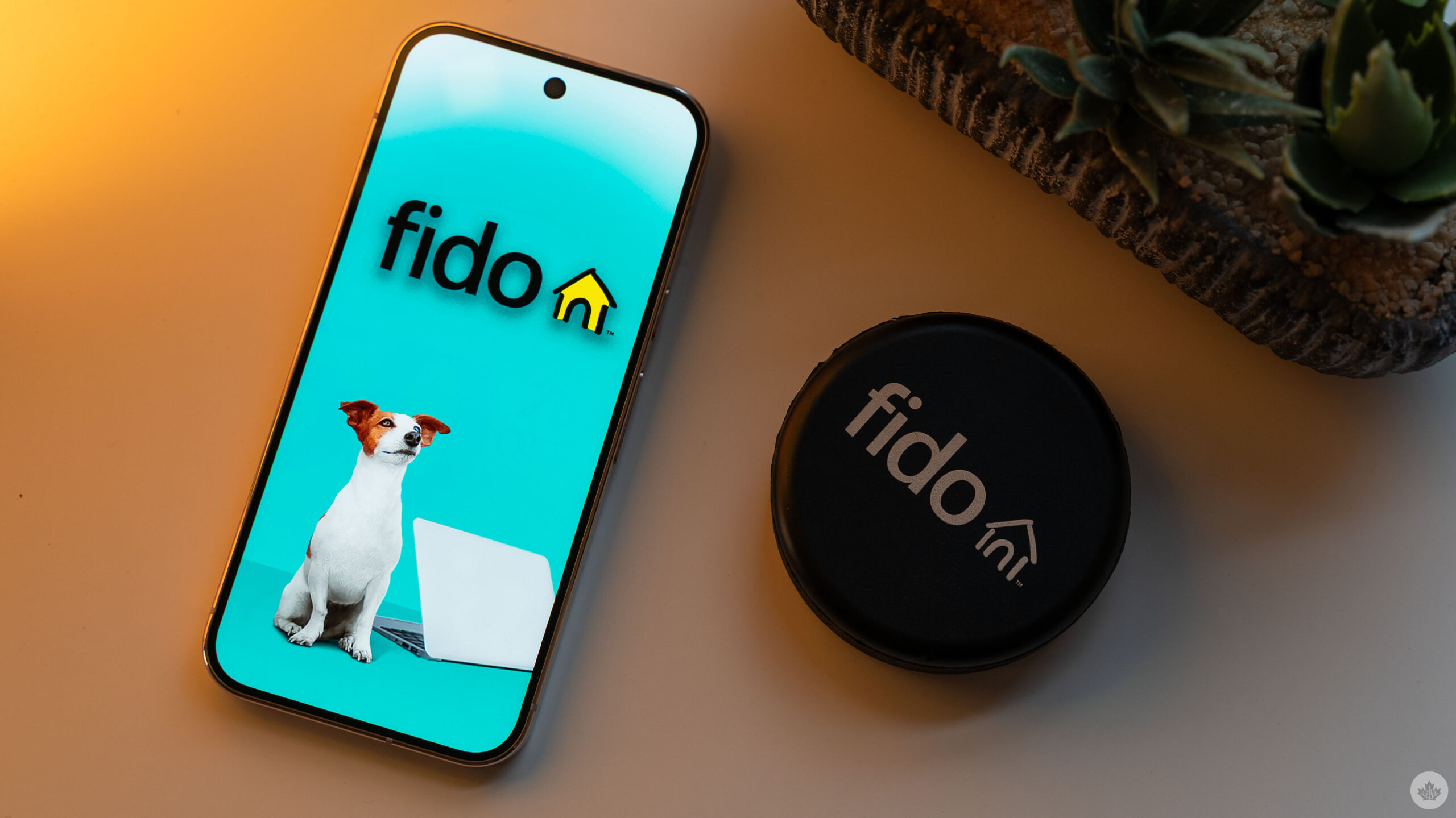Fido plan prices tick up by $1, second increase in a week