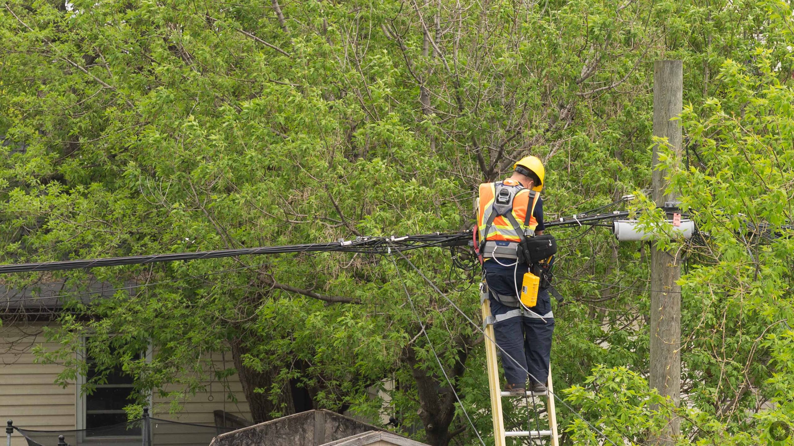 Cogeco fixes network issue the plagued Hamilton, Ont. customers with weeks of outages