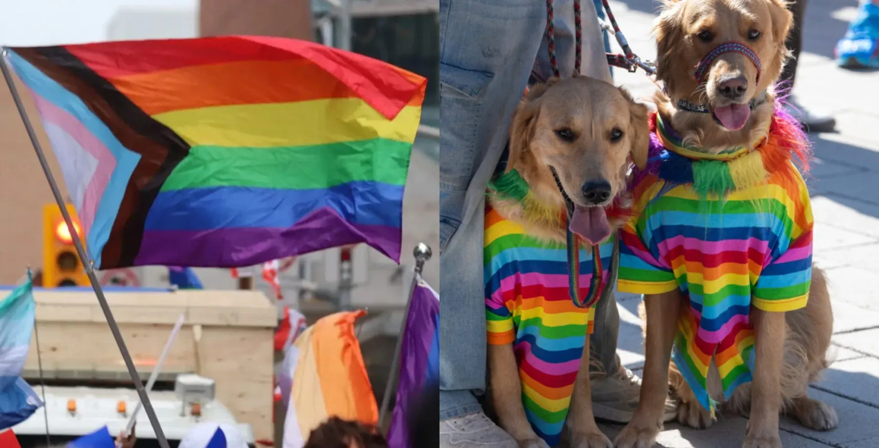 Toronto Pride Weekend 2026 LIVE: Parade, road closures, events and everything happening across the city