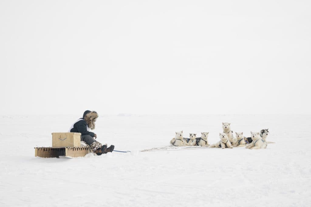 On the trail of this year’s epic Nunavut Quest dogsled race