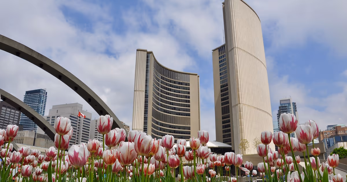 15,000 free tulips will be given away this weekend in Toronto