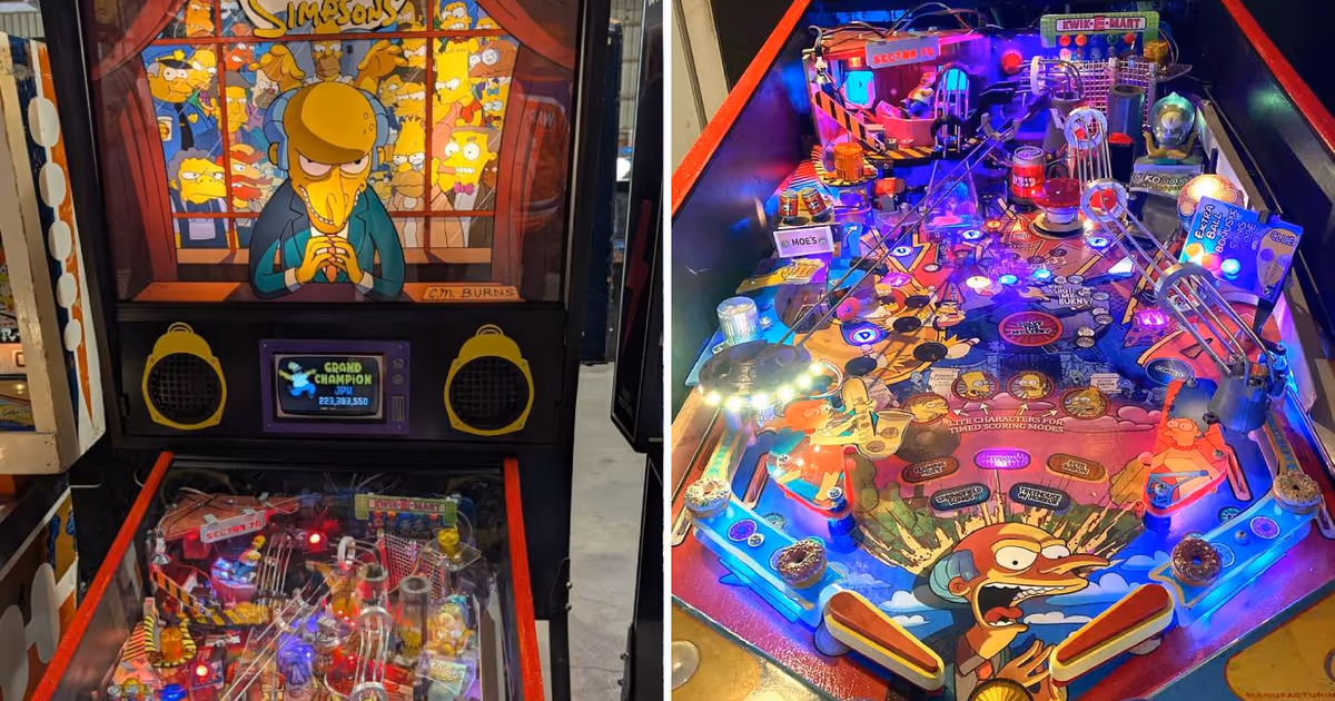 Ontario man spent nearly 3 years building award-winning pinball machine