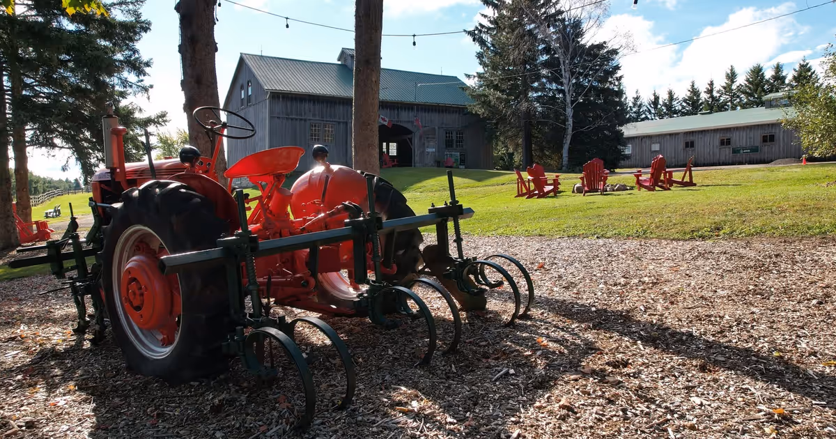 This hidden farm in Ontario is home to one of the best maple syrups in the world