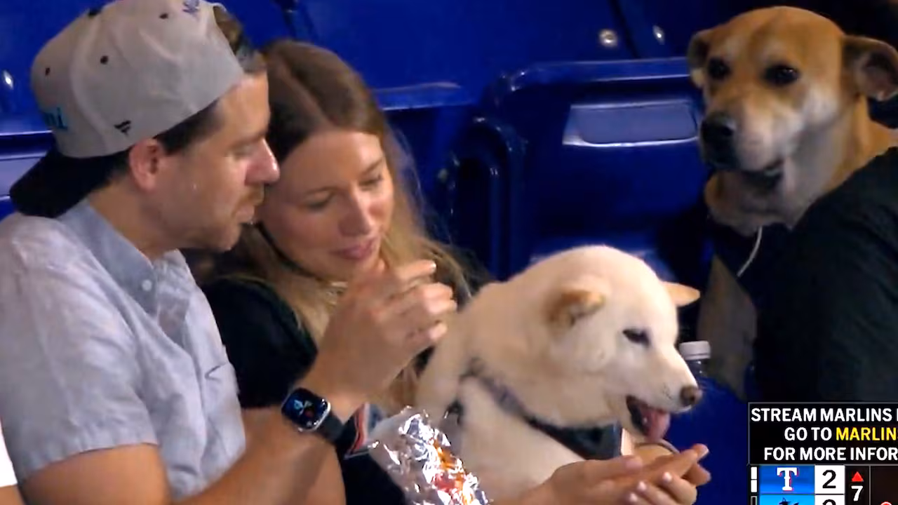 This good boy just wanted a hot dog | The Moment