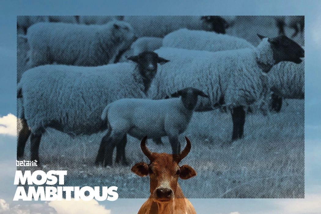At Olds College Smart Farm, everything is new