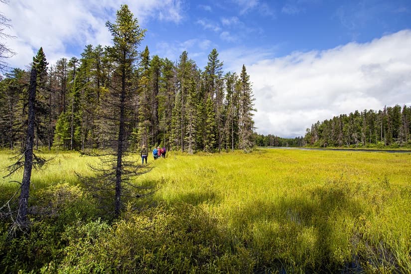 14 must-see trails to try this summer