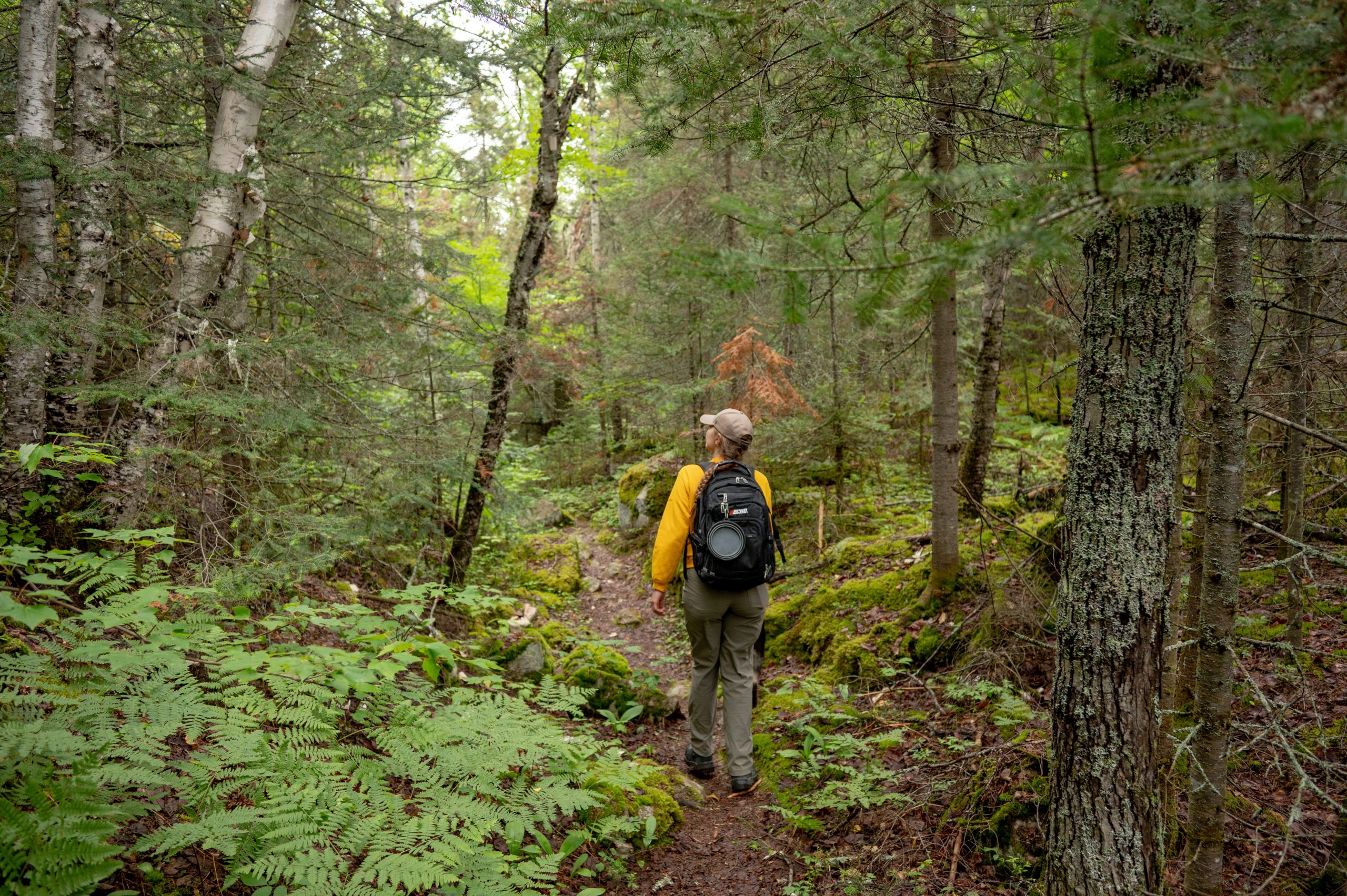 How to avoid getting lost