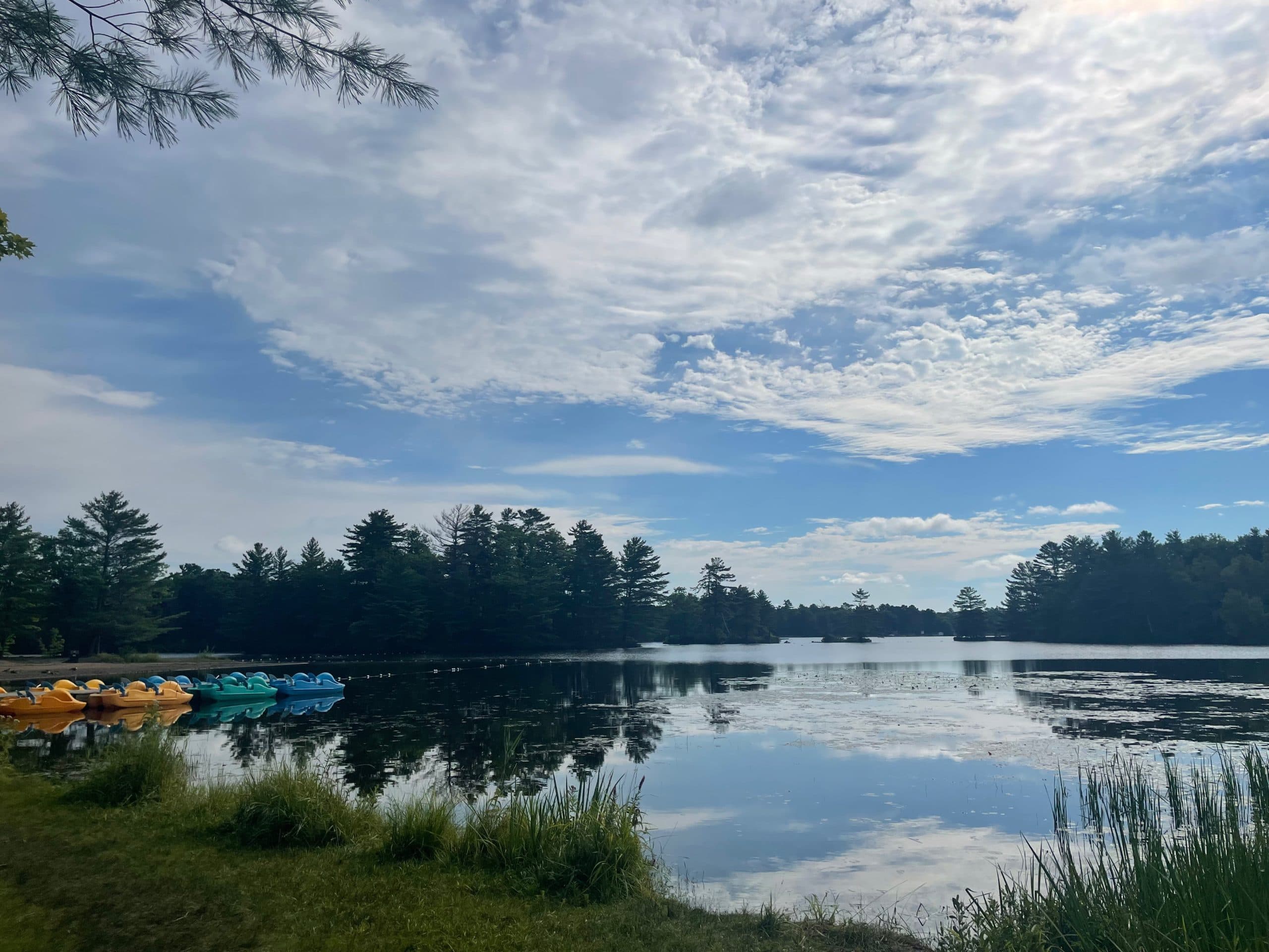 Family friendly parks in the near north