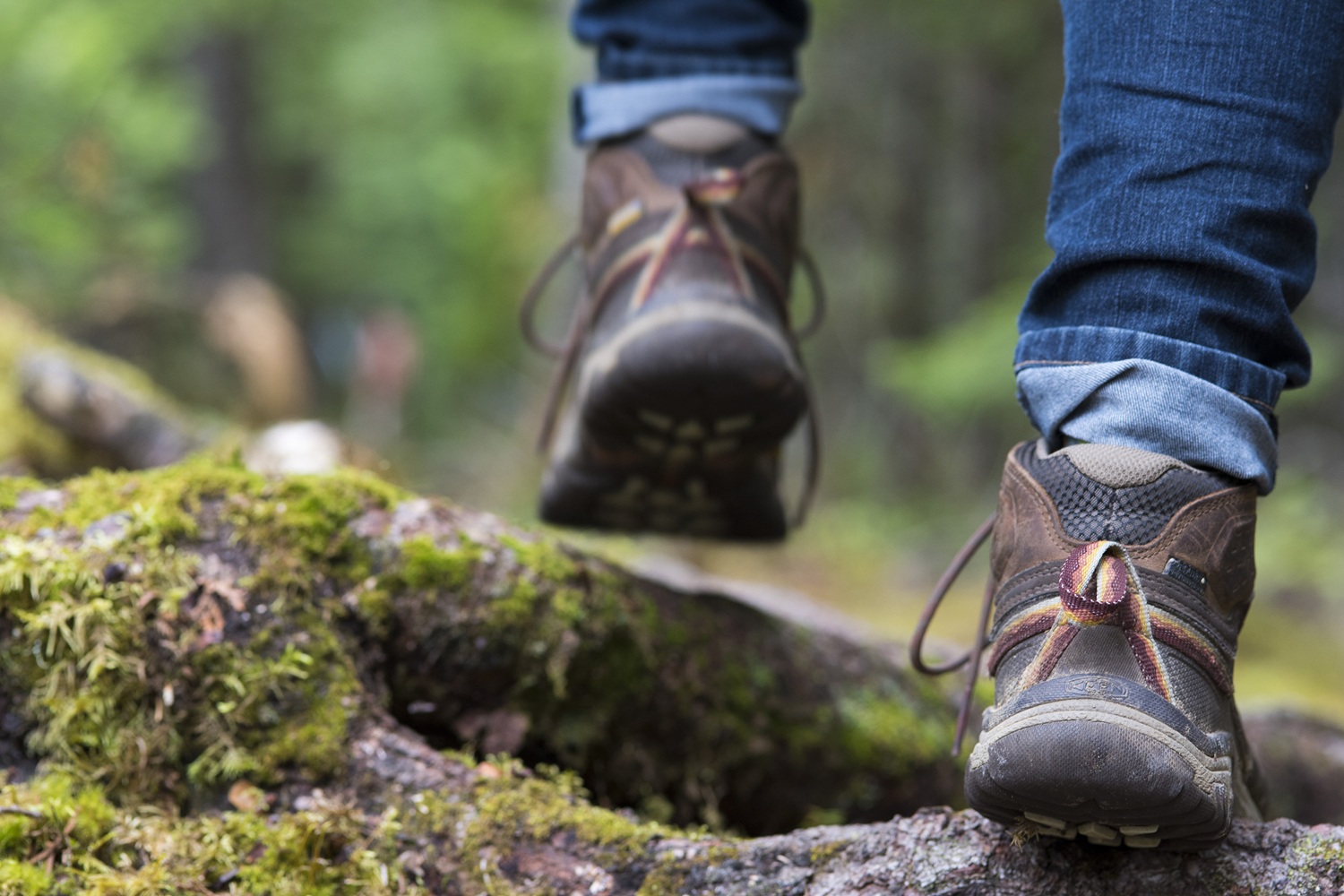 It’s not a race: the beauty of hiking at Fushimi Lake
