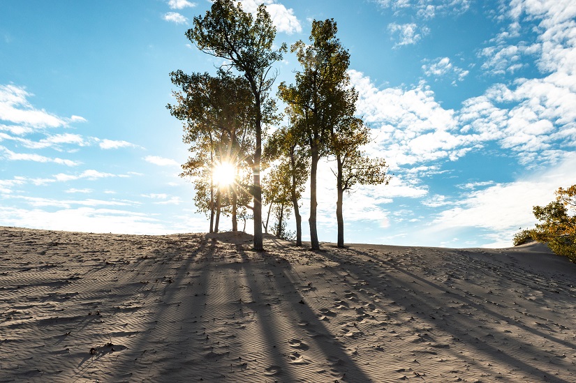 How to plan a trip to Sandbanks