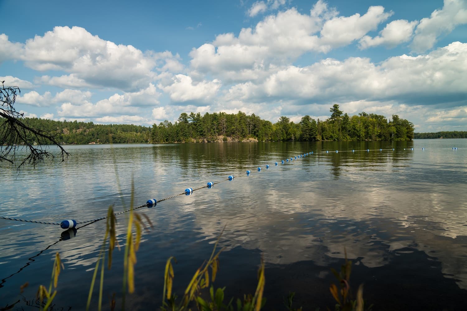 5 reasons to visit Fairbank Provincial Park