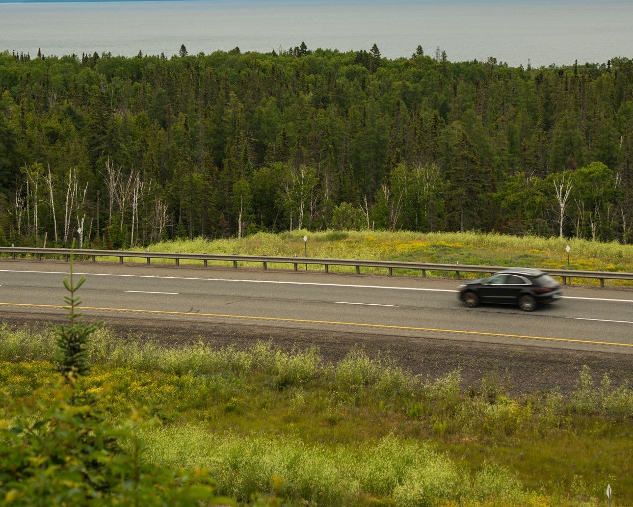 Visit these 6 northern roadside attractions!