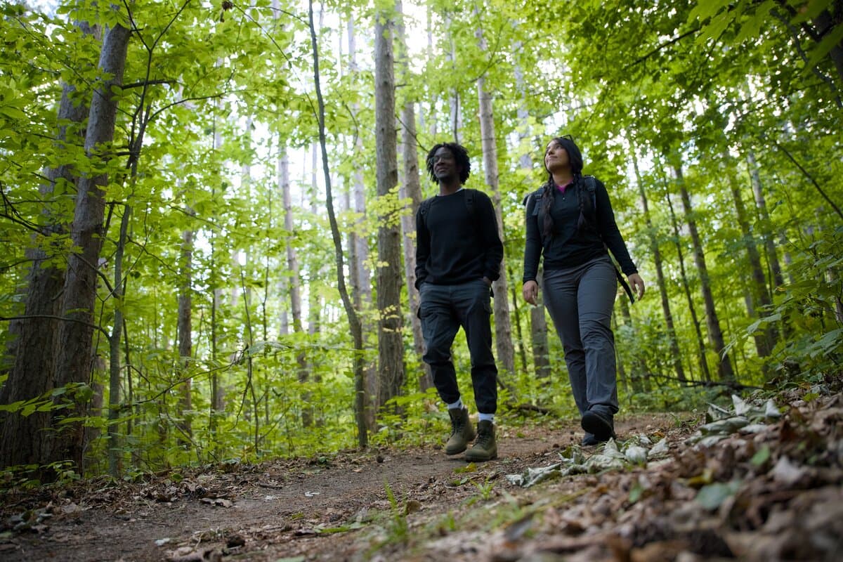 How to plan your visit to Uxbridge Urban Provincial Park