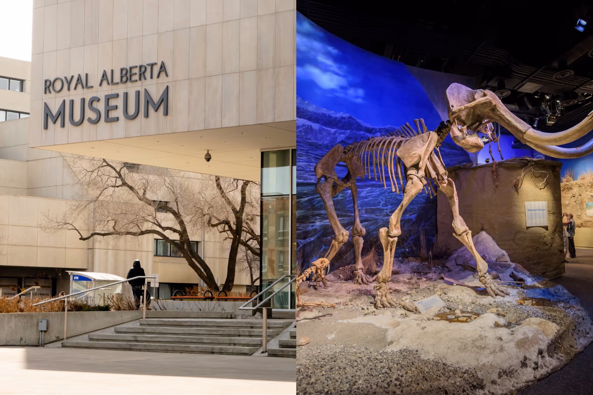 All the Alberta spots you can visit for cheap or free with the Canada Strong Pass