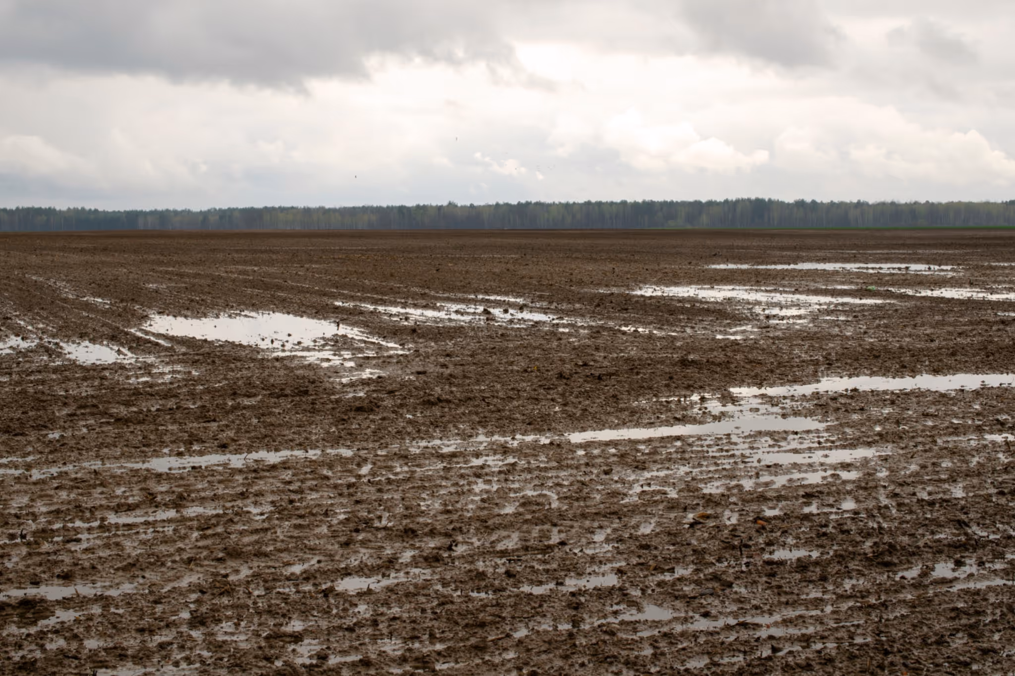 Rainy weekend in store for Alberta and 60 mm may fall in some areas