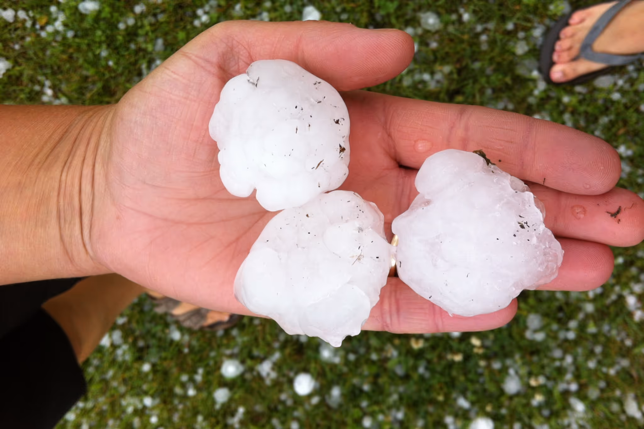 Alberta forecast to see thunderstorms with big hail and a tornado risk