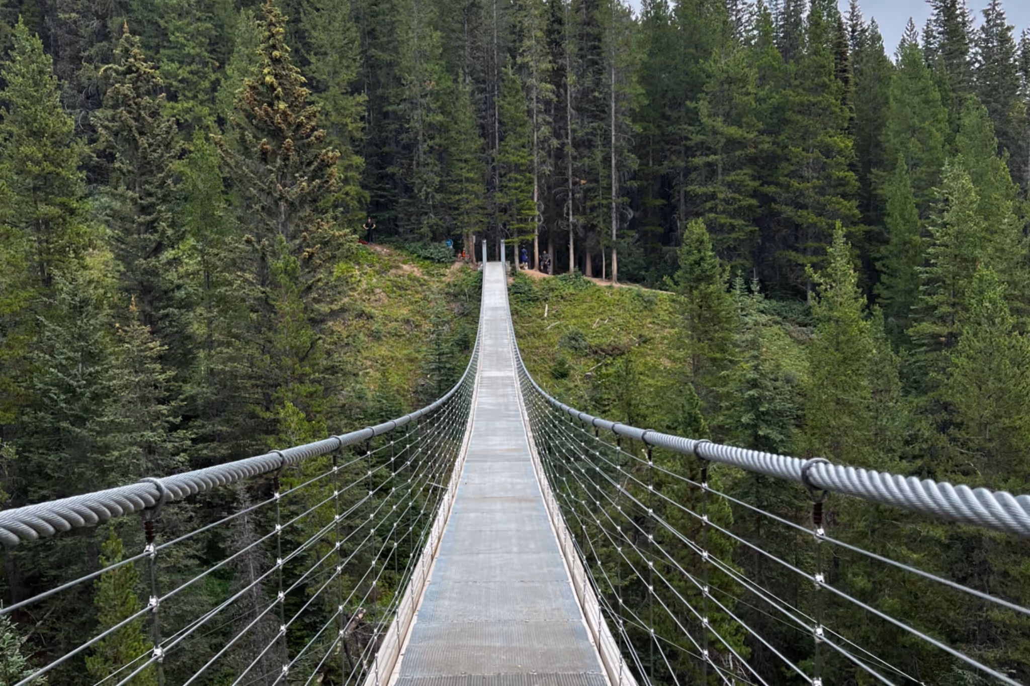 This hidden suspension bridge is now open in the Alberta Rockies