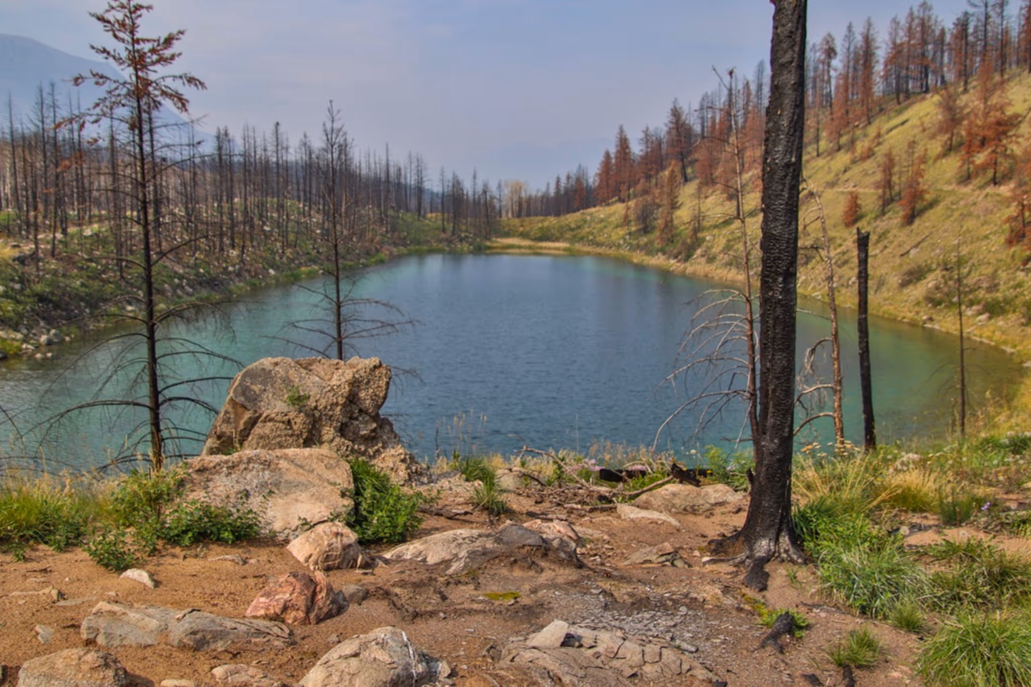 One of the most beloved hiking trails in the Alberta Rockies reopens this weekend