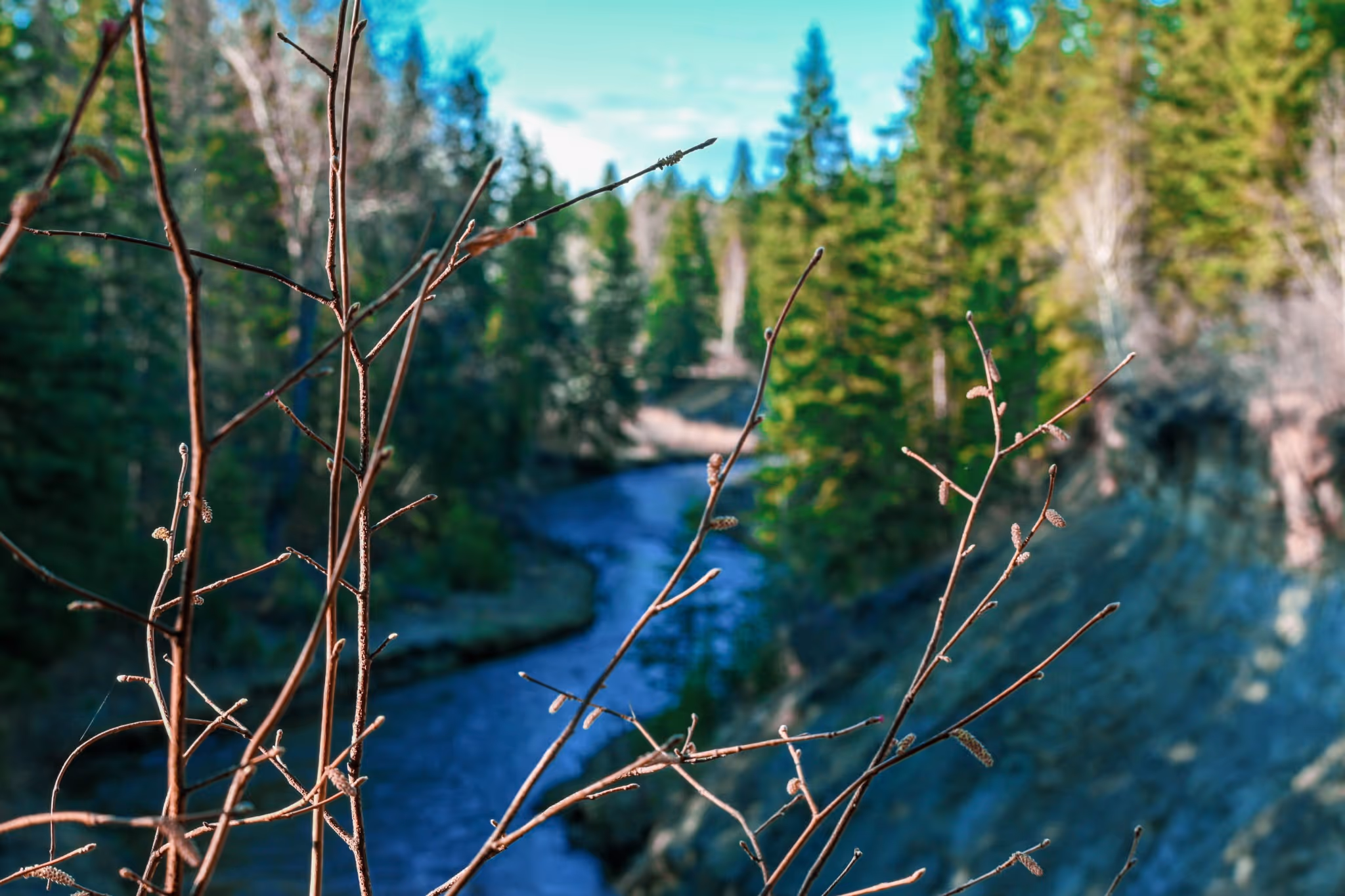 6 spots in Edmonton that are perfect for a summer walk