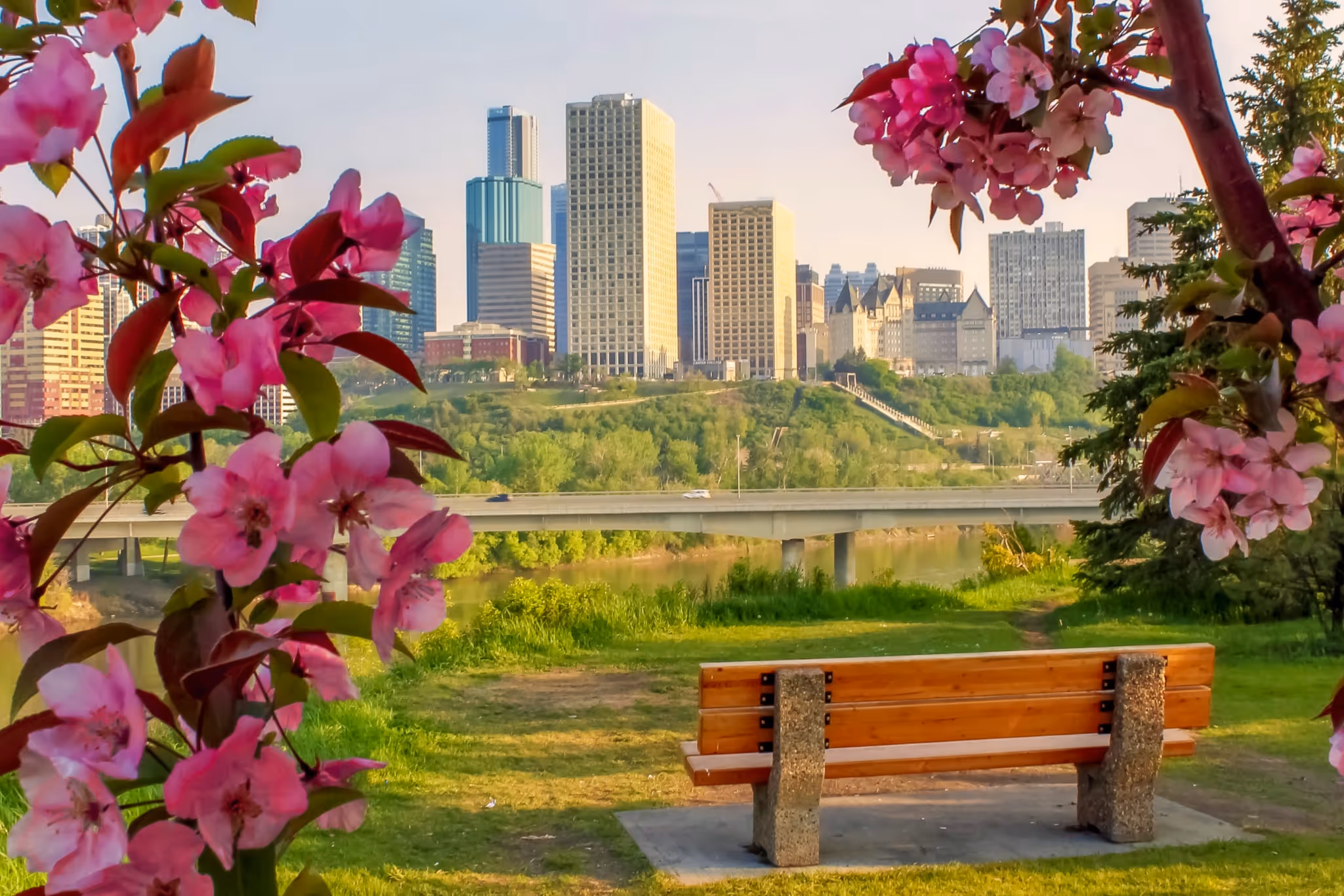 21 great things to do in Edmonton this week: June 8 to 12