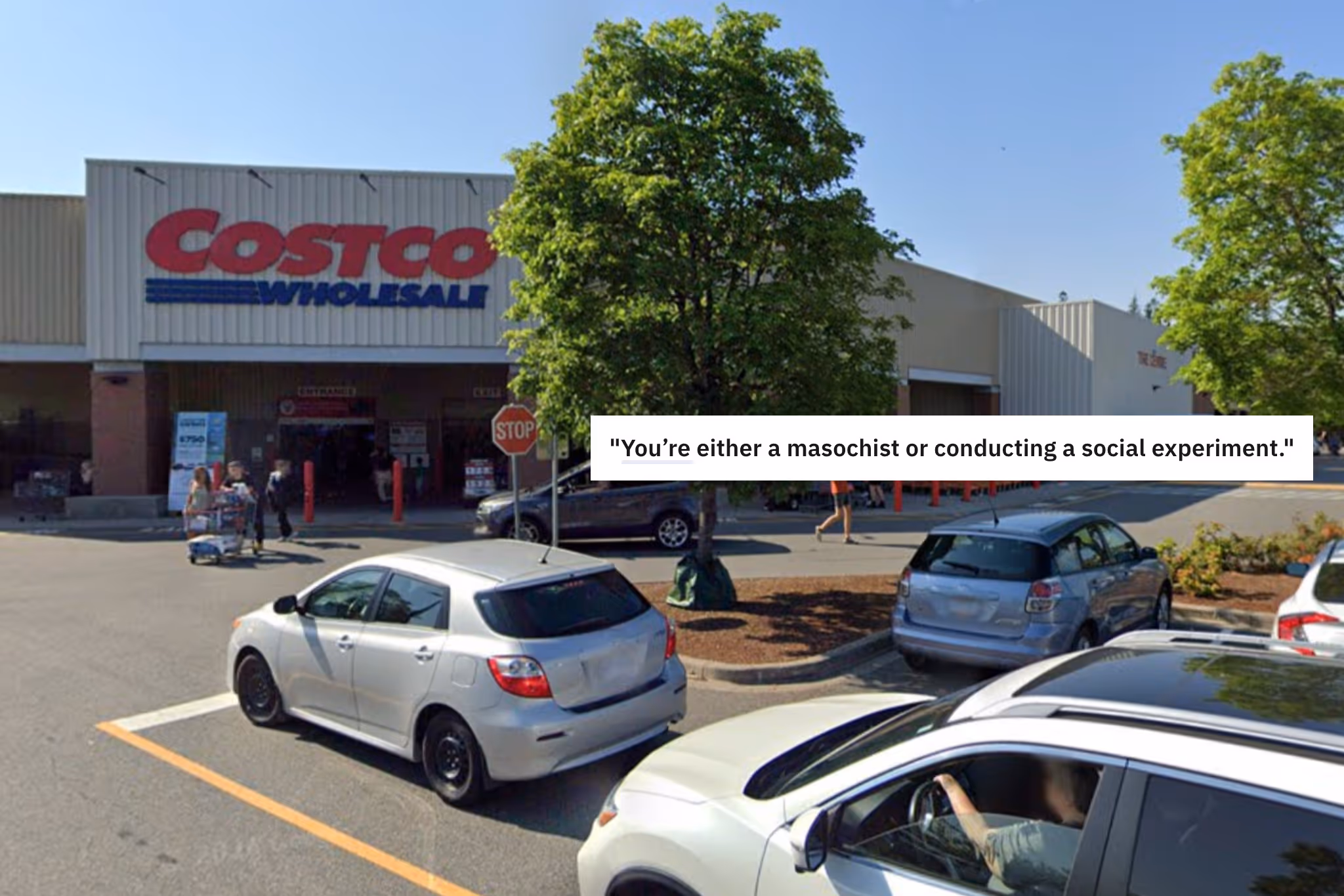 Bellinghamsters share thoughts on Costco in B.C. and the notorious parking