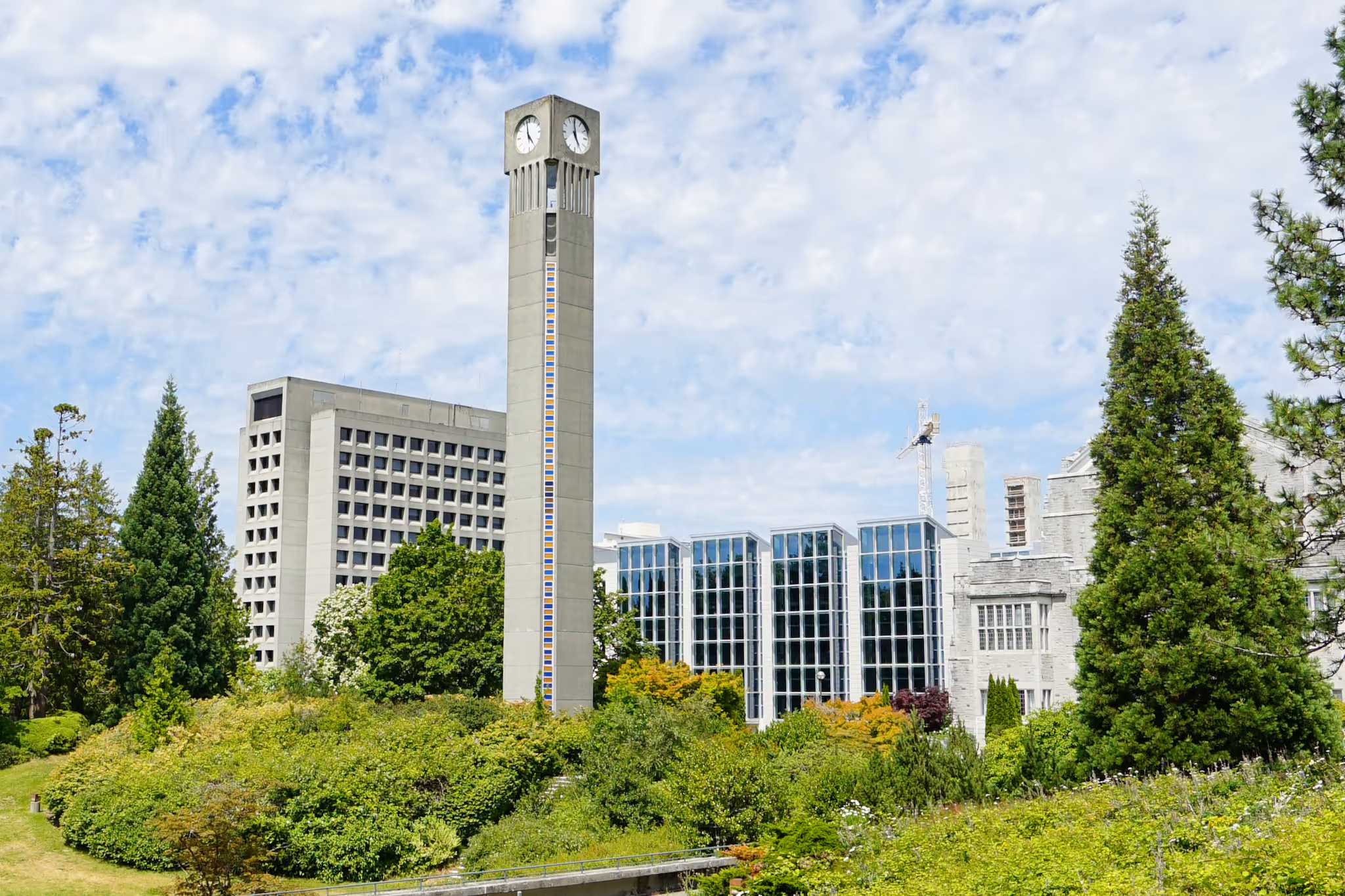 This B.C. university was just ranked among the top 50 schools worldwide