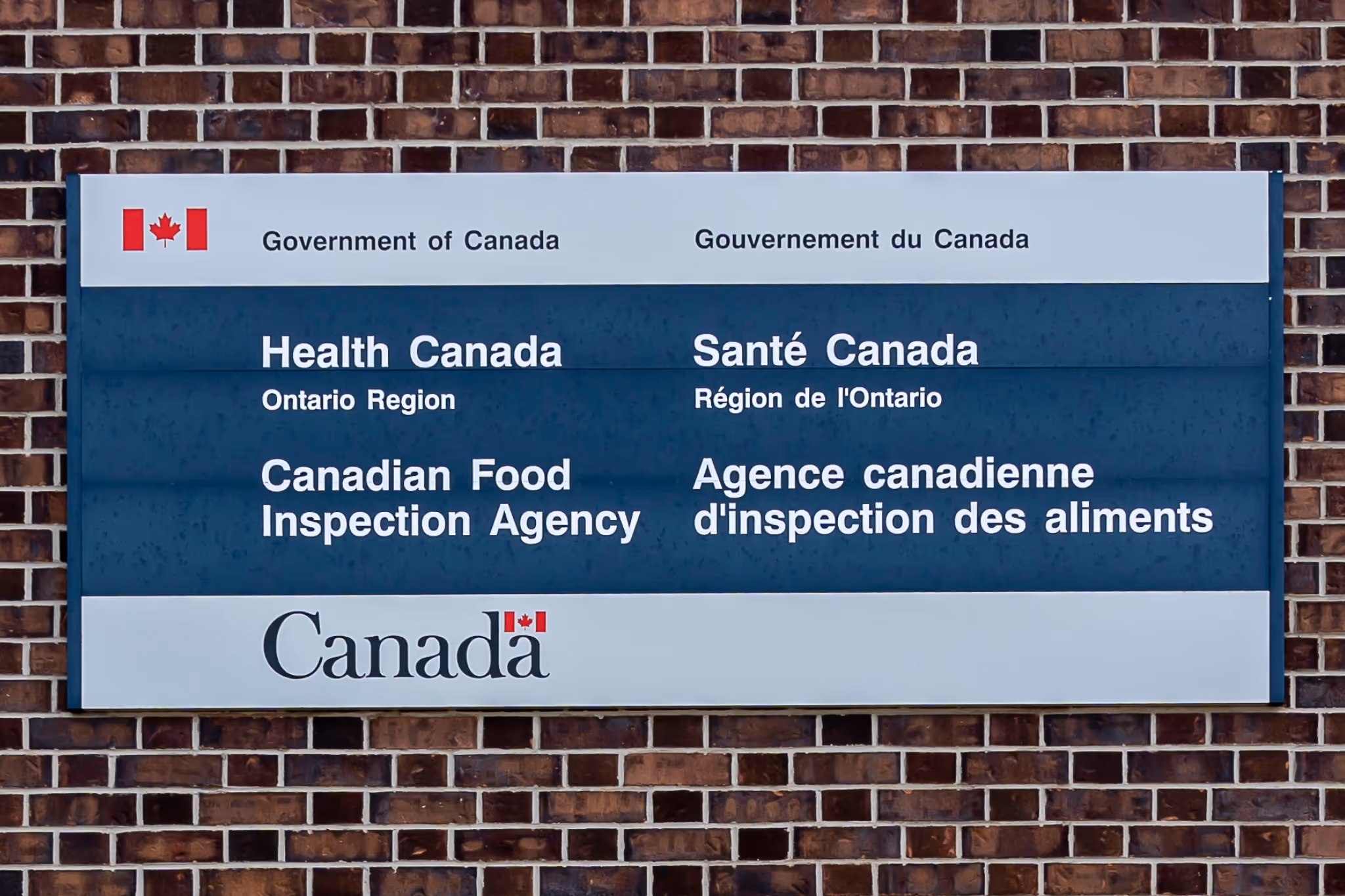 Urgent Canada-wide recall issued for popular tea brand